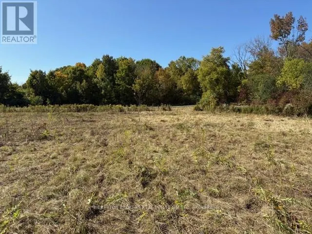 254 BRIAR HILL ROAD