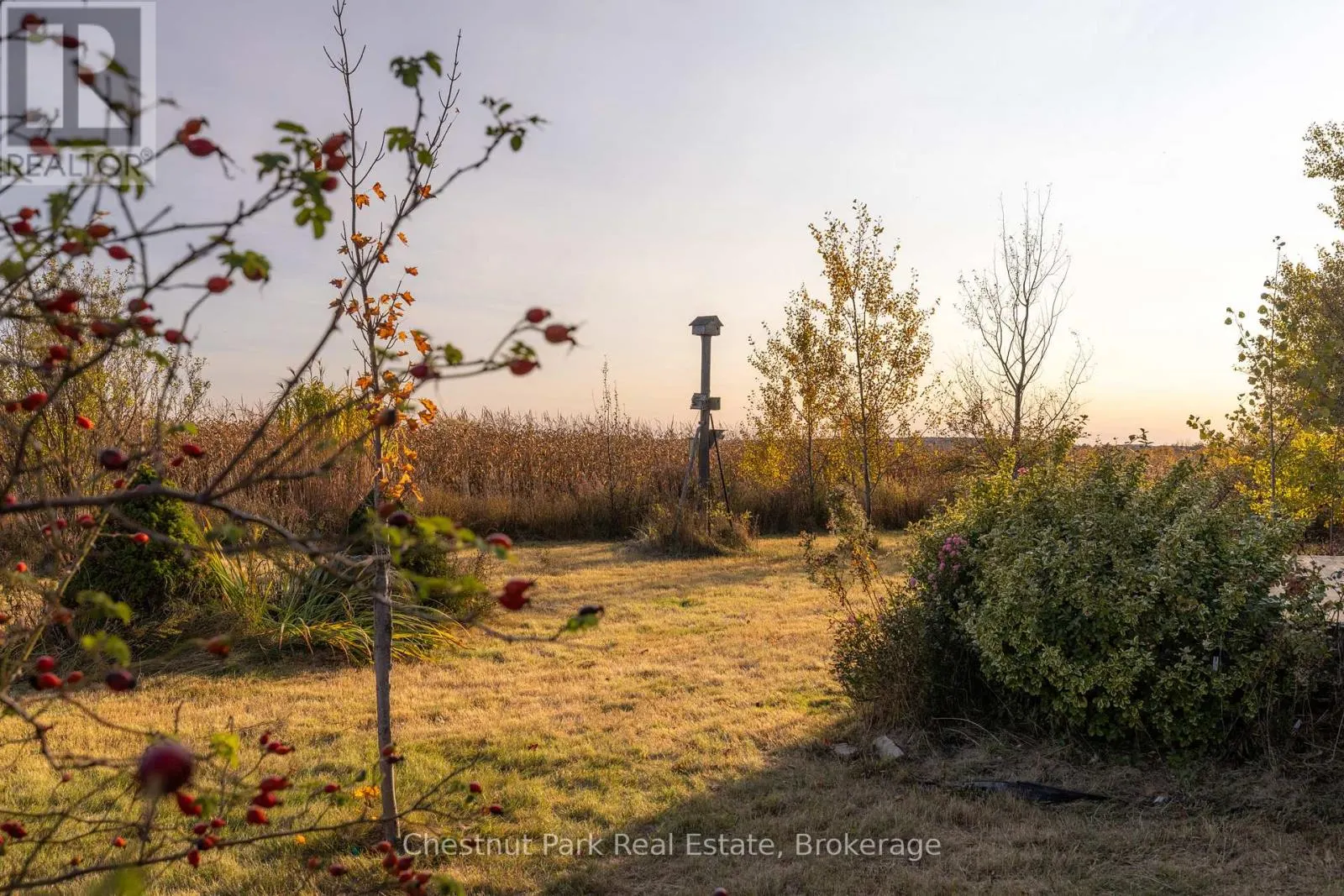 324310 SIDEROAD 27 ROAD