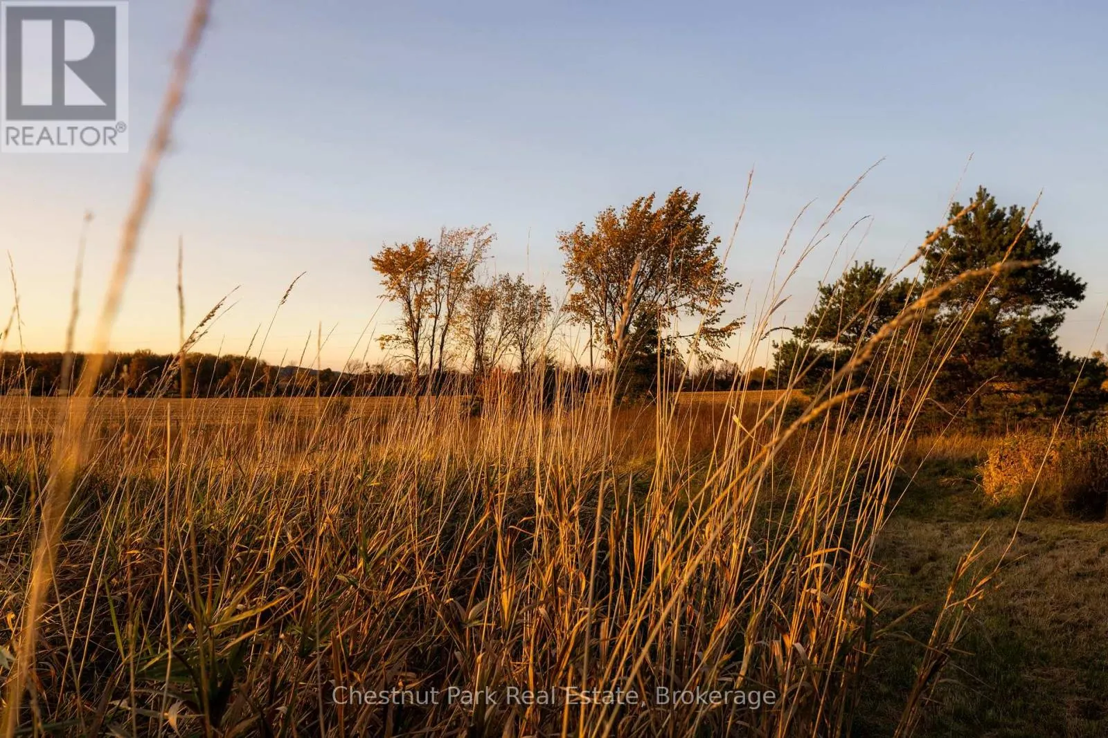 324310 SIDEROAD 27 ROAD