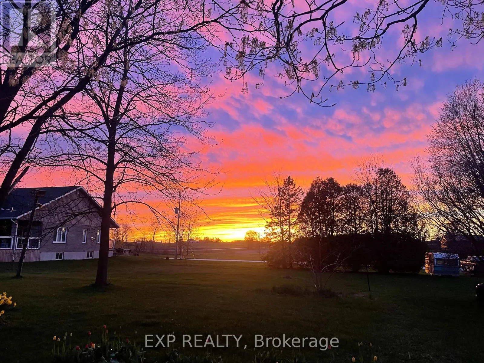 84 ABSALOM STREET W