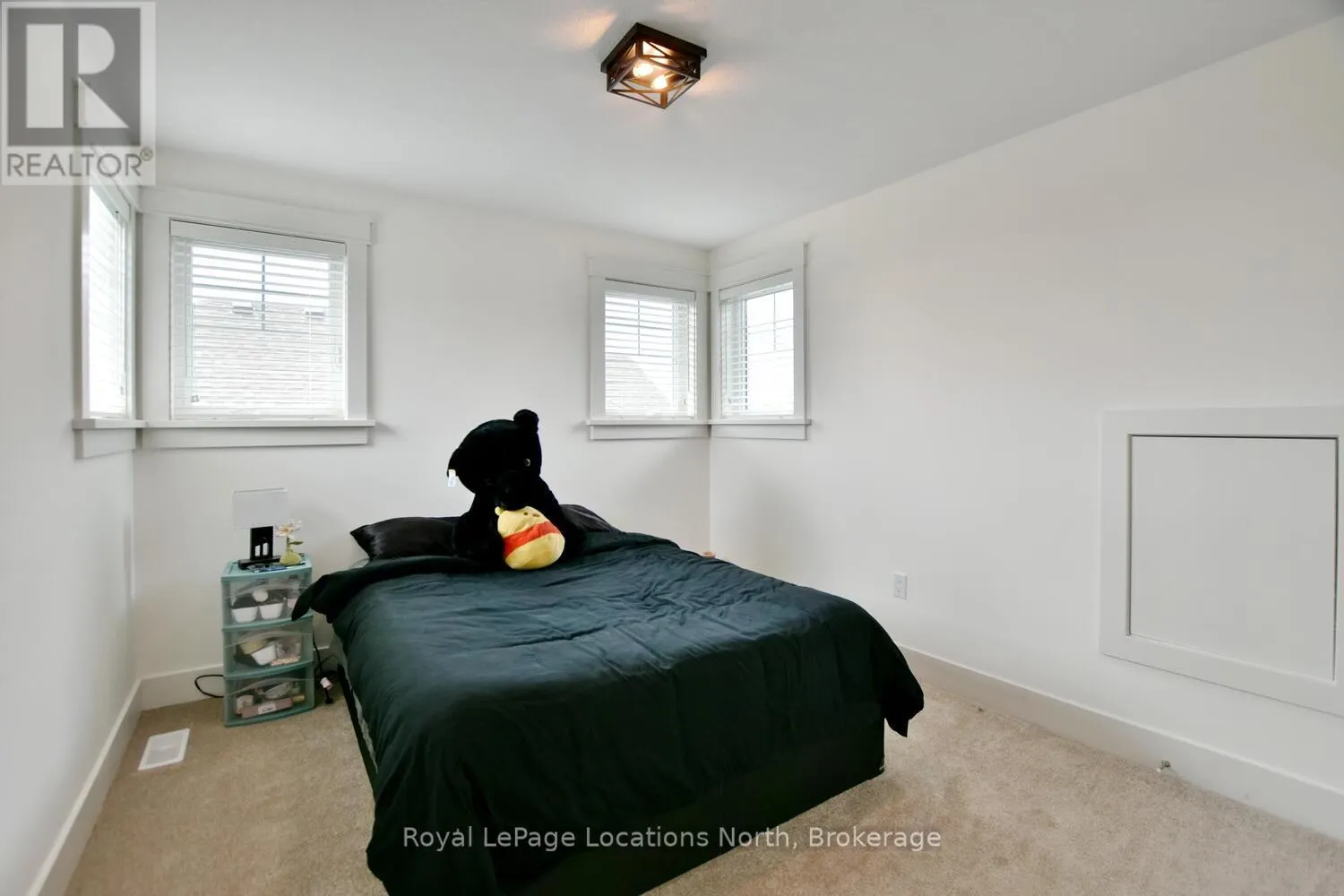 216 SNOWBERRY LANE