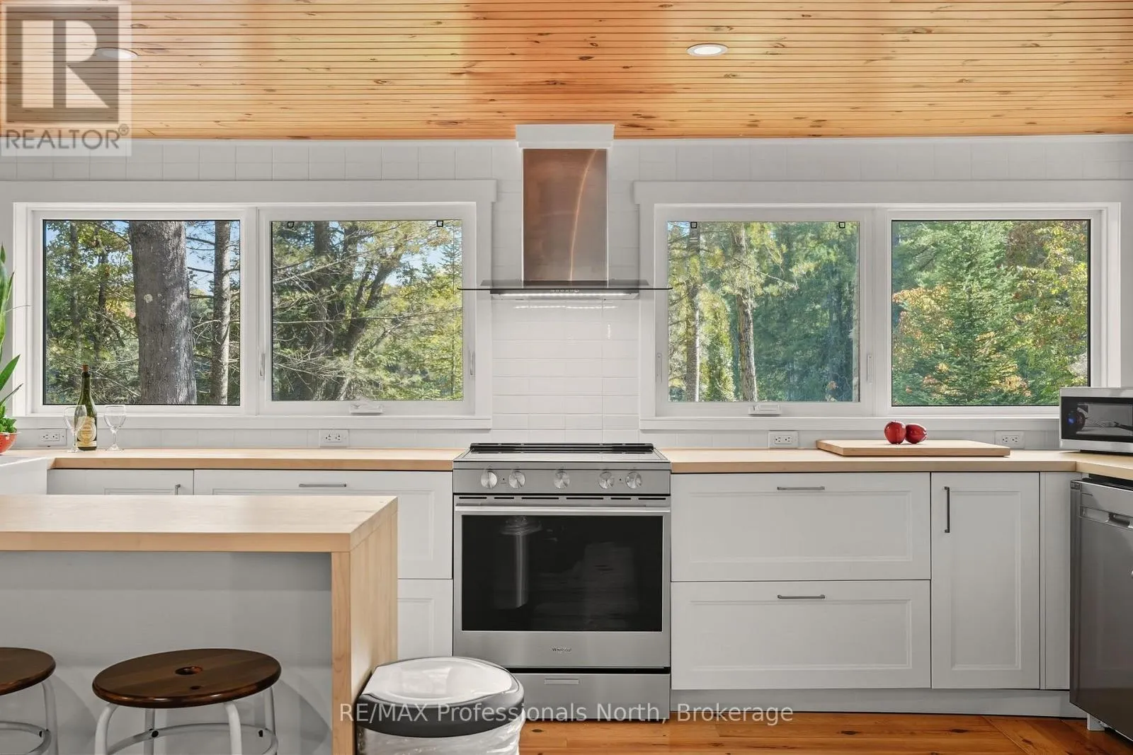 1046 PINE LAKE SHORES PRIVATE ROAD