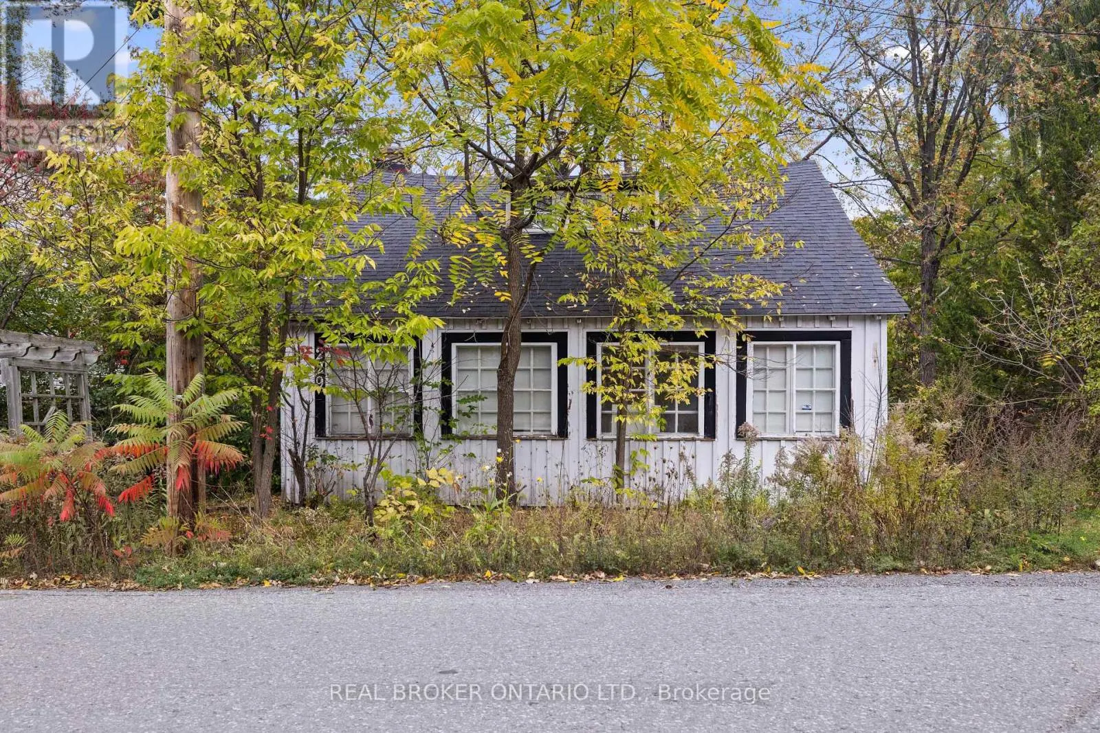 229 BRITANNIA ROAD