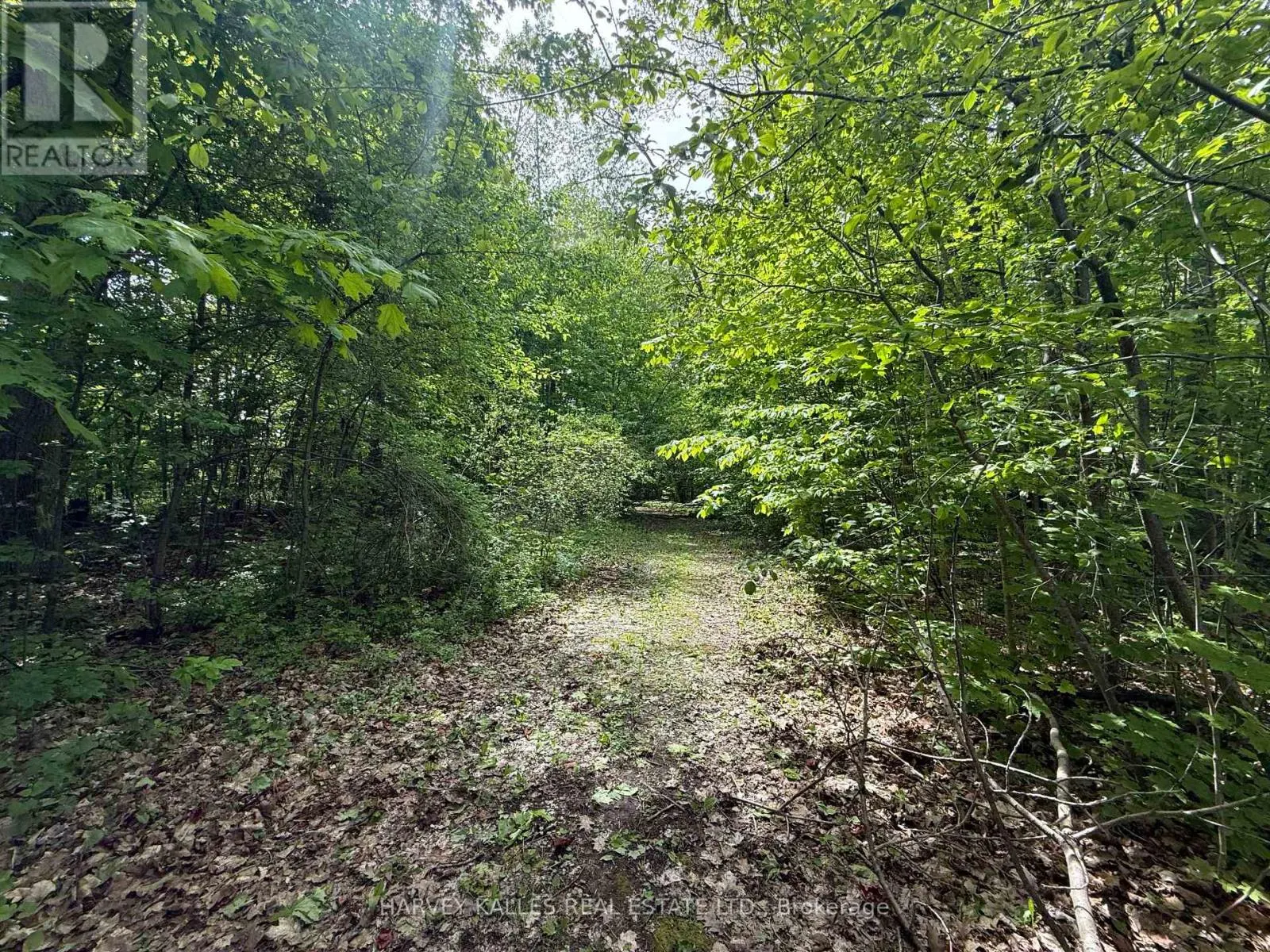 0 OAKWOOD LANE