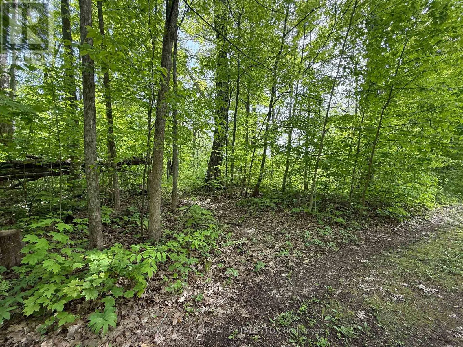 0 OAKWOOD LANE