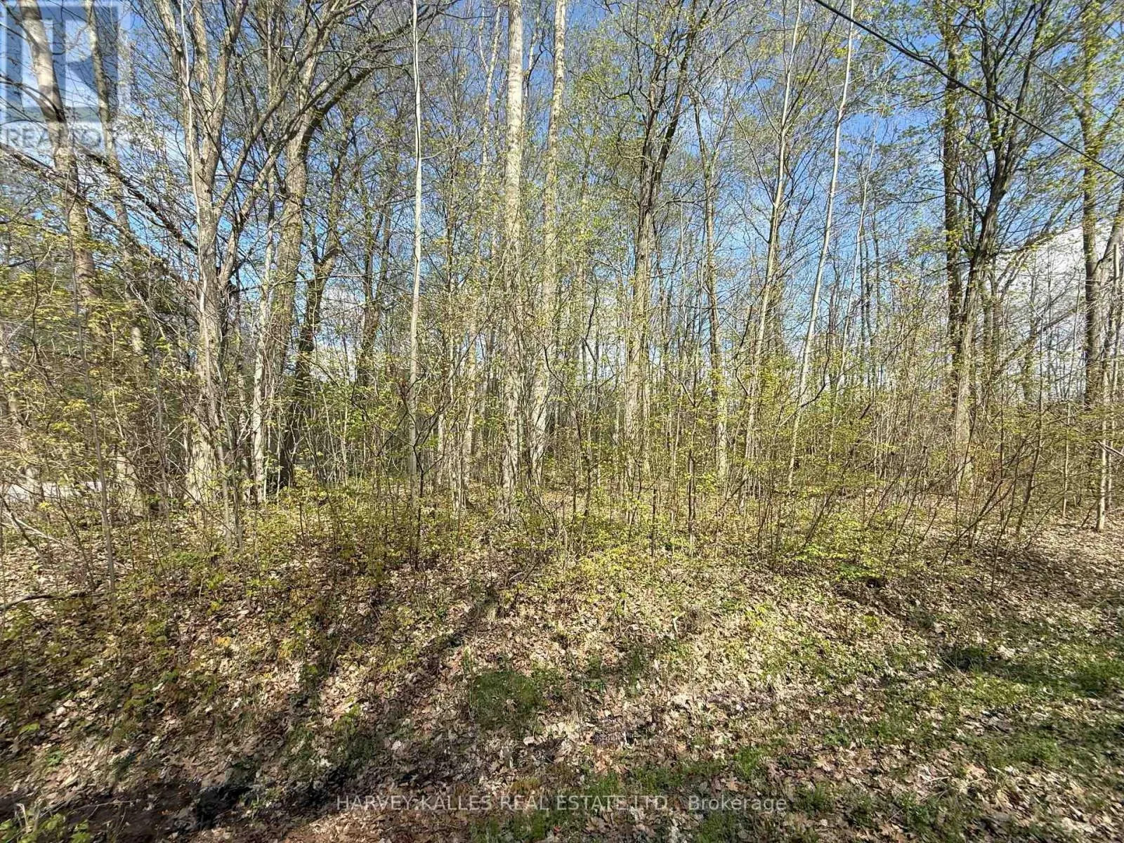 0 OAKWOOD LANE