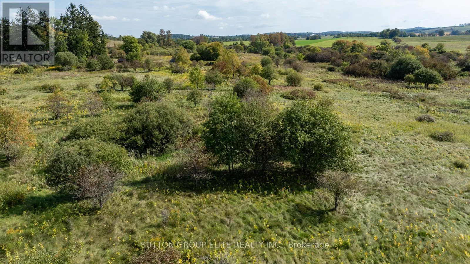 557141 4TH CONCESSION S