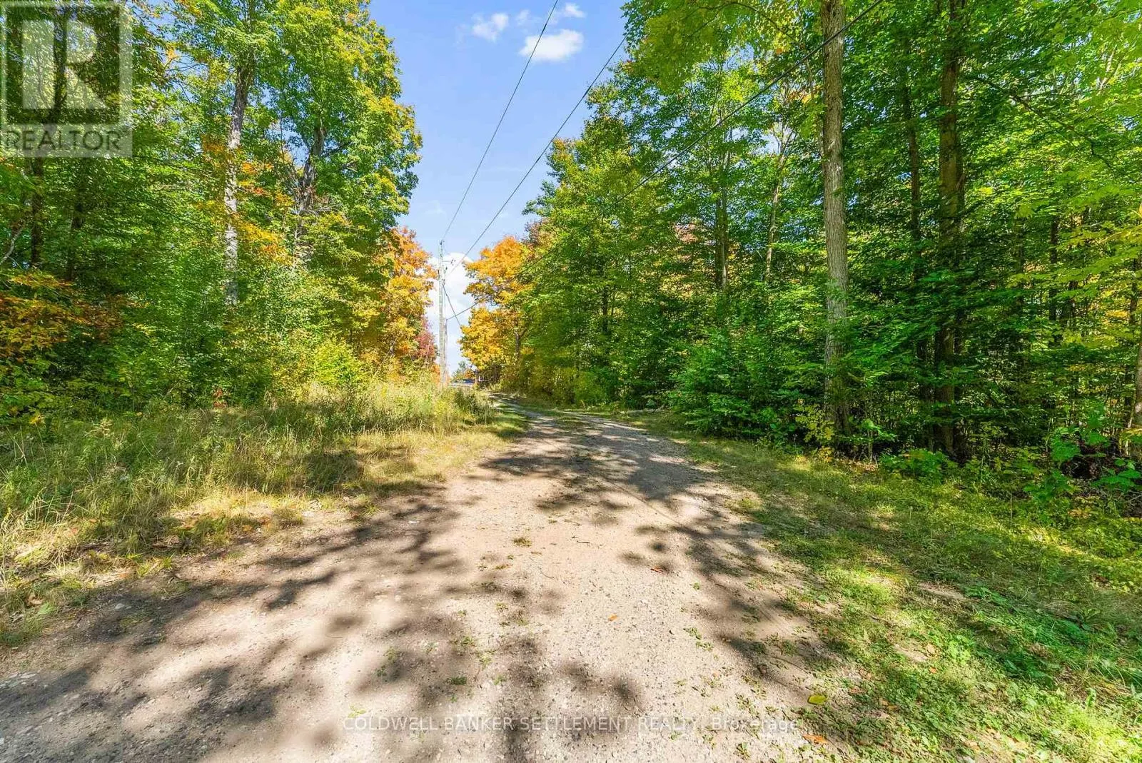 23925 HIGHWAY 7