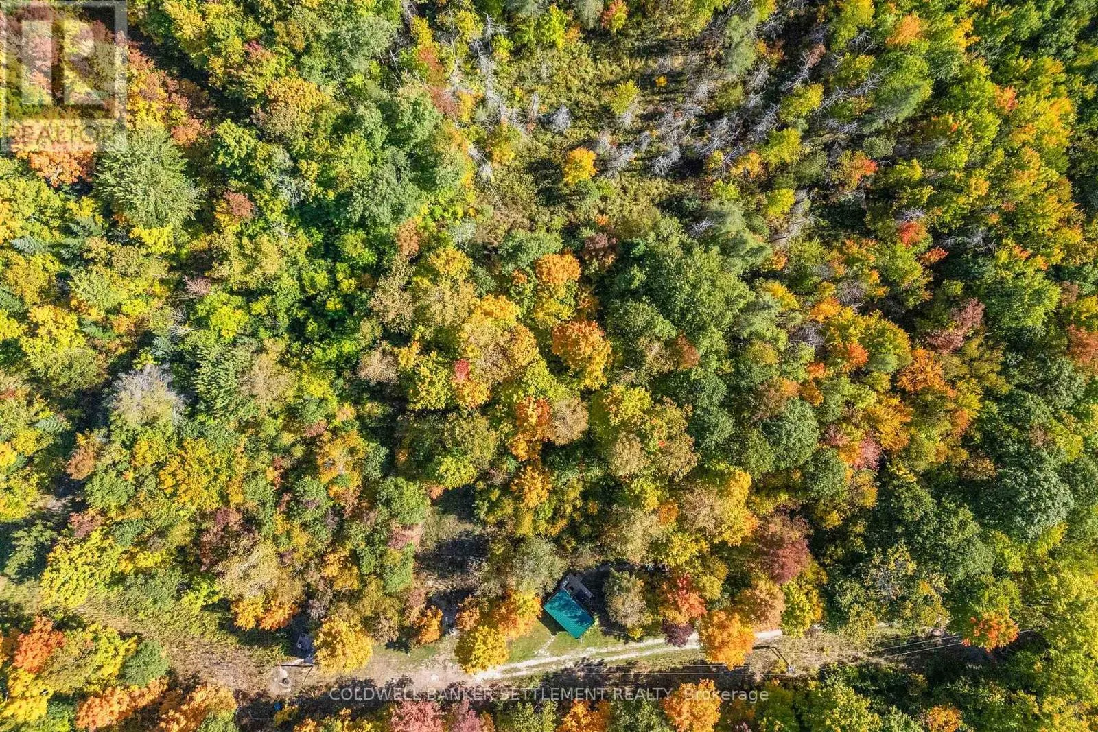 23925 HIGHWAY 7
