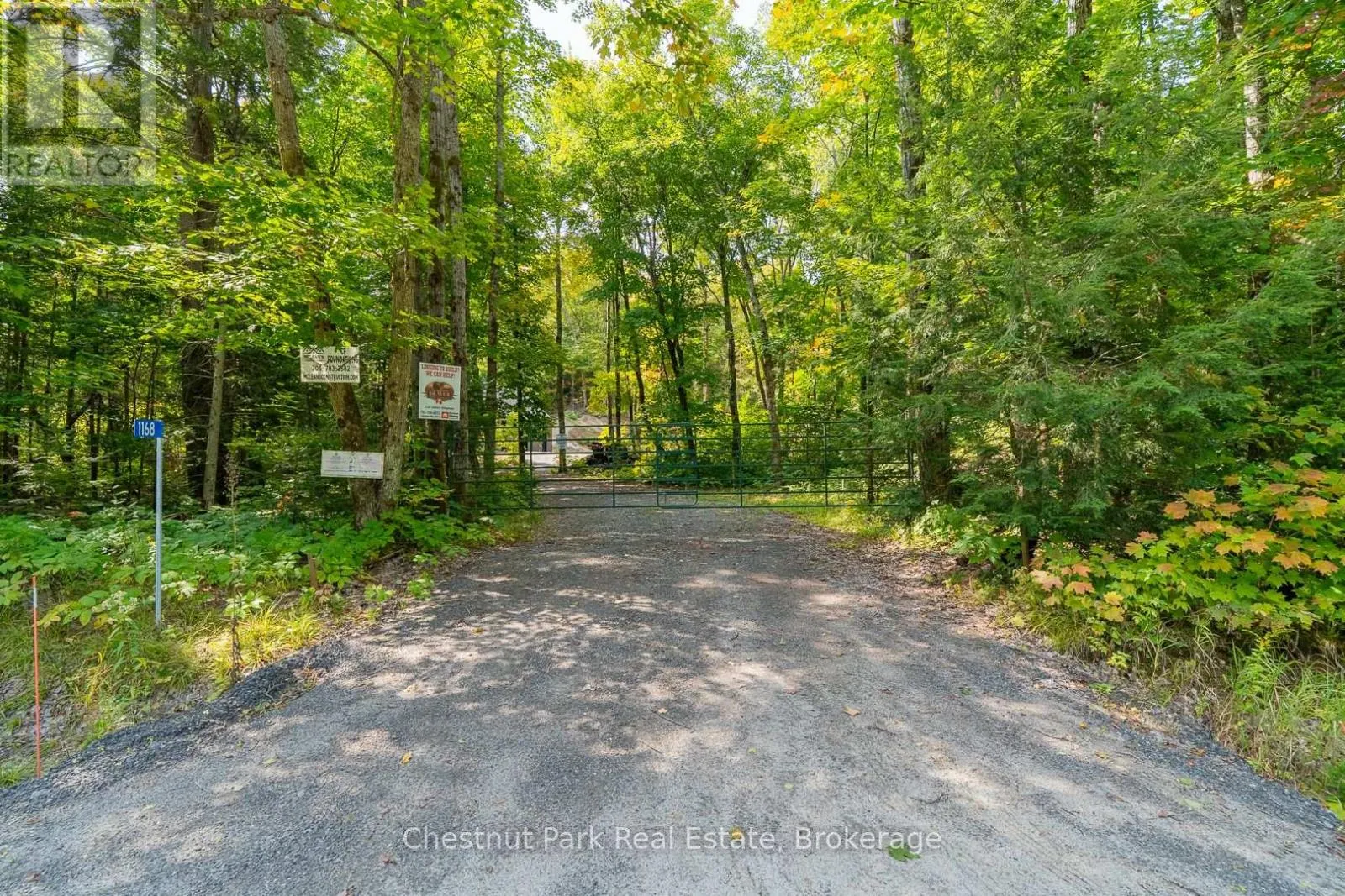 1168 WHITNEY ROAD