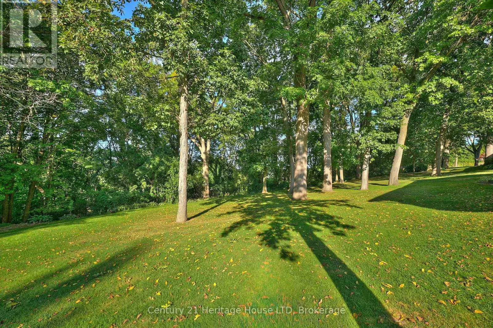 38 MELROSE DRIVE