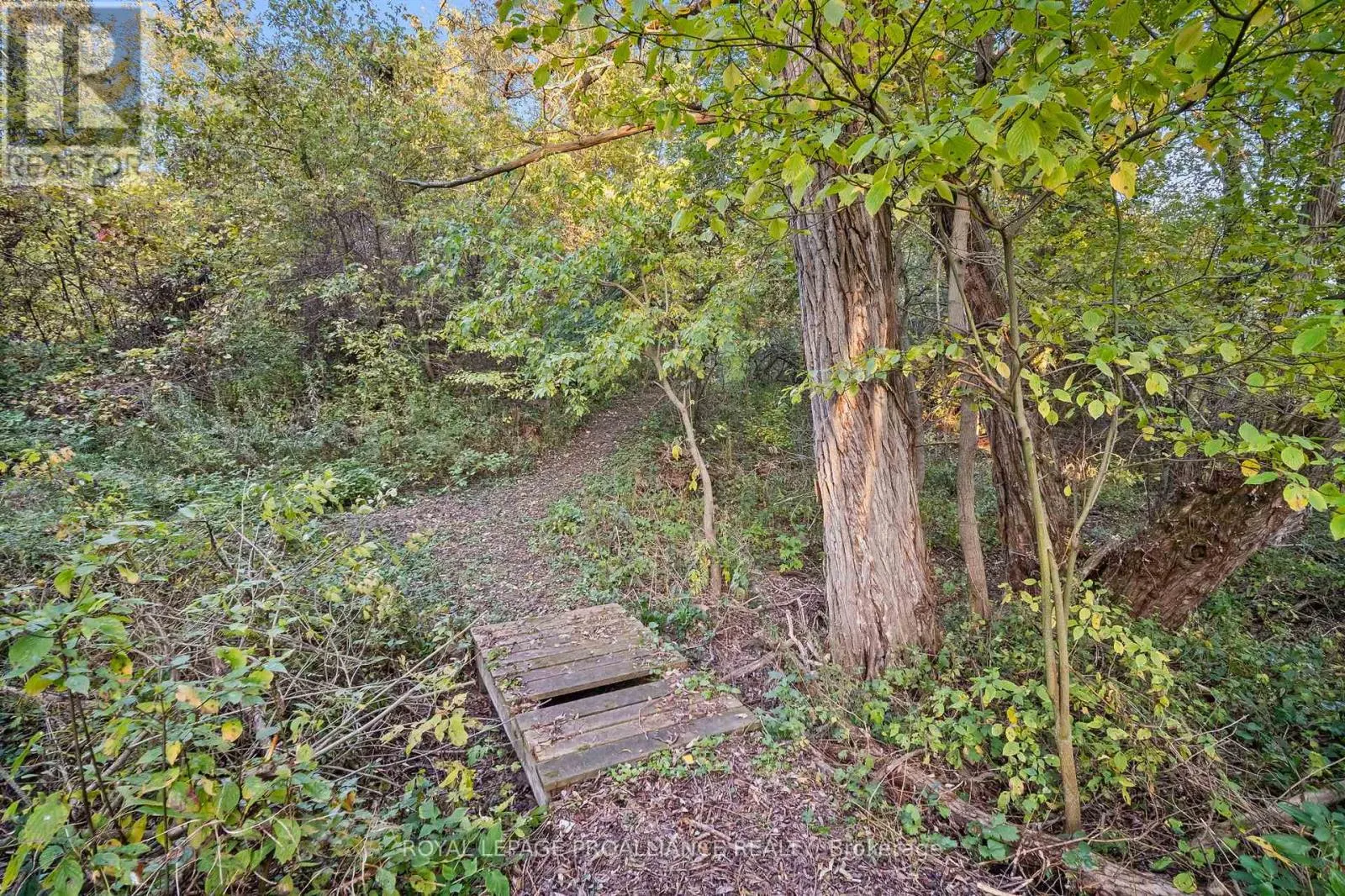 1153 BAULCH ROAD