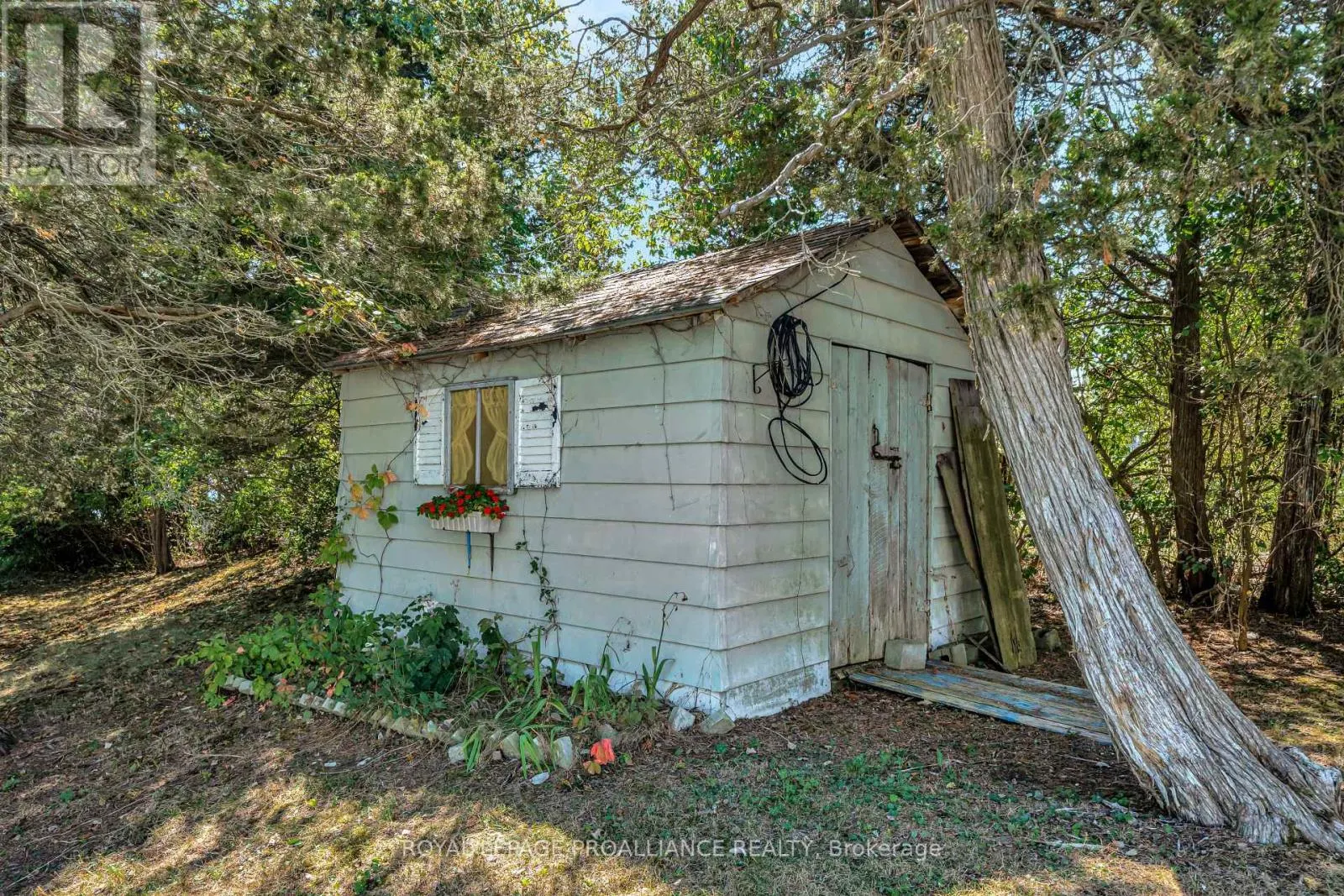 473 COUNTY RD 19