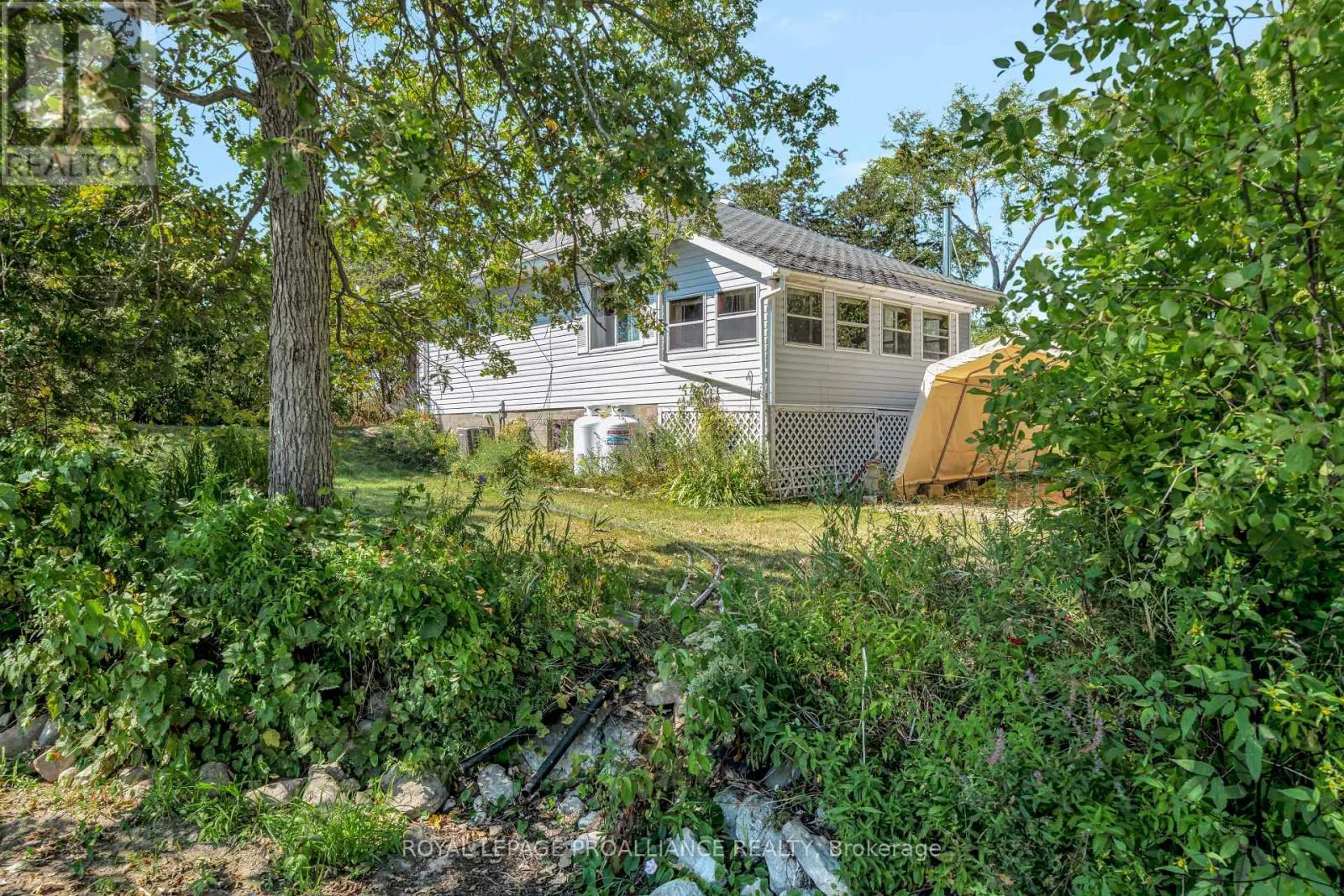 473 COUNTY RD 19