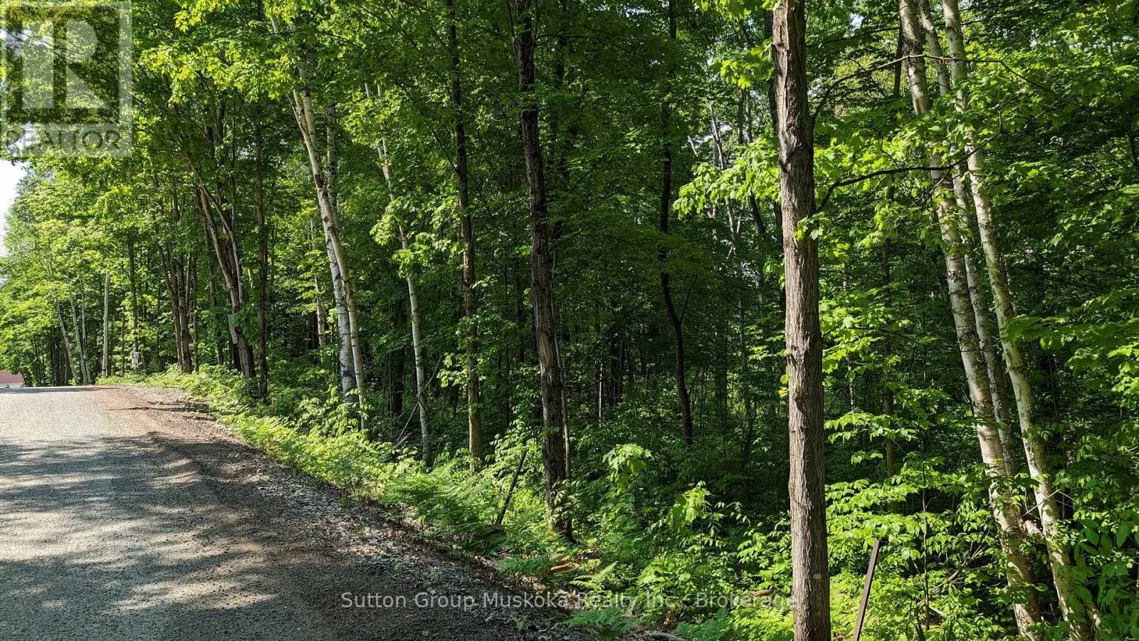 LOT 1 TALLY-HO WINTER PARK ROAD