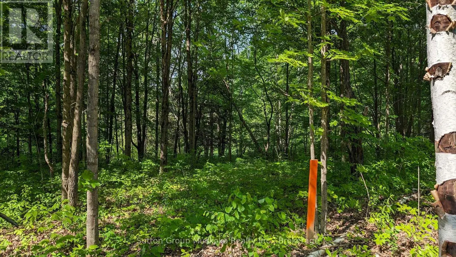LOT 2 TALLY-HO WINTER PARK ROAD