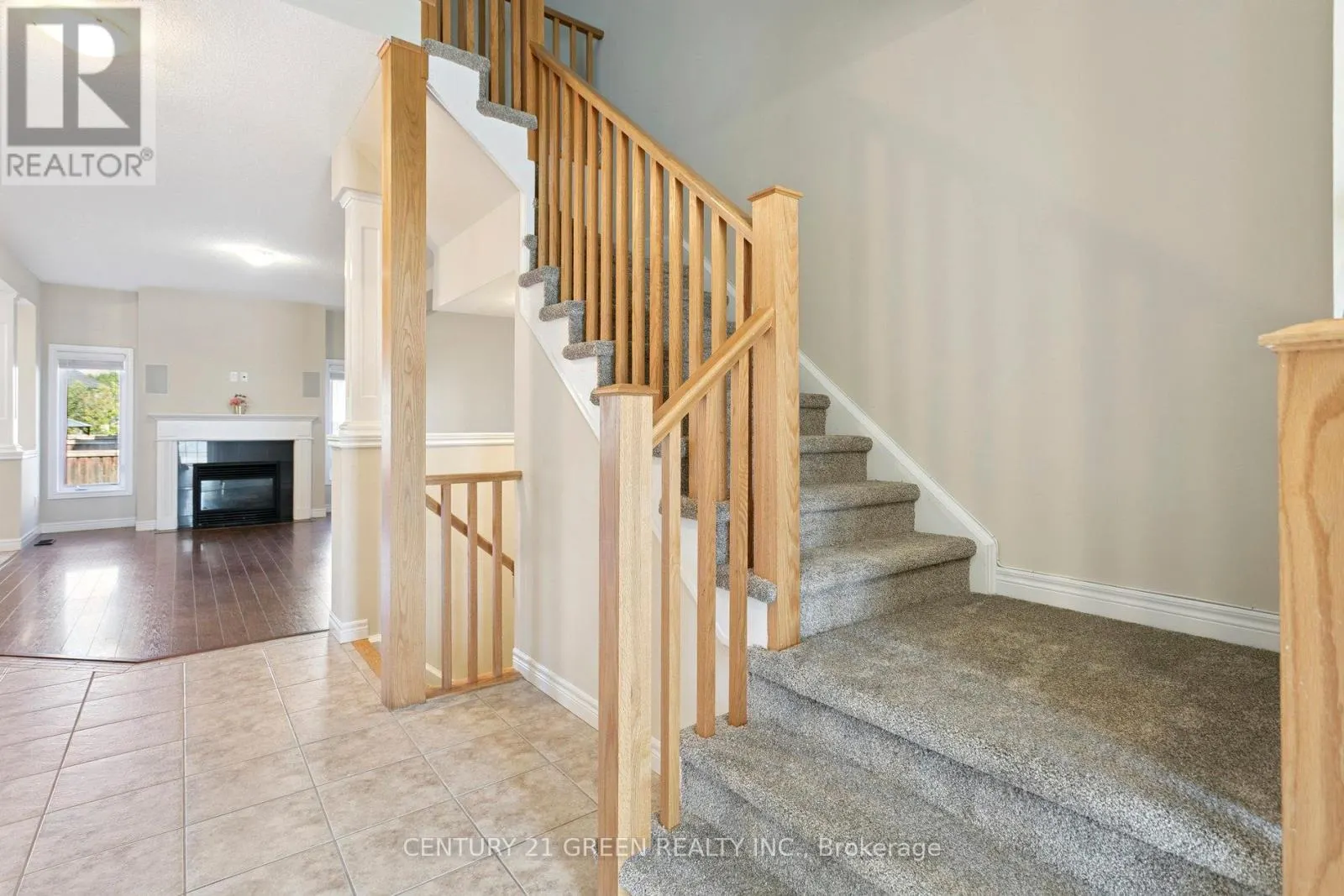 50 MOSAIC DRIVE