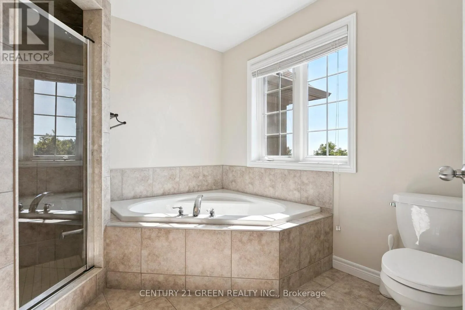 50 MOSAIC DRIVE
