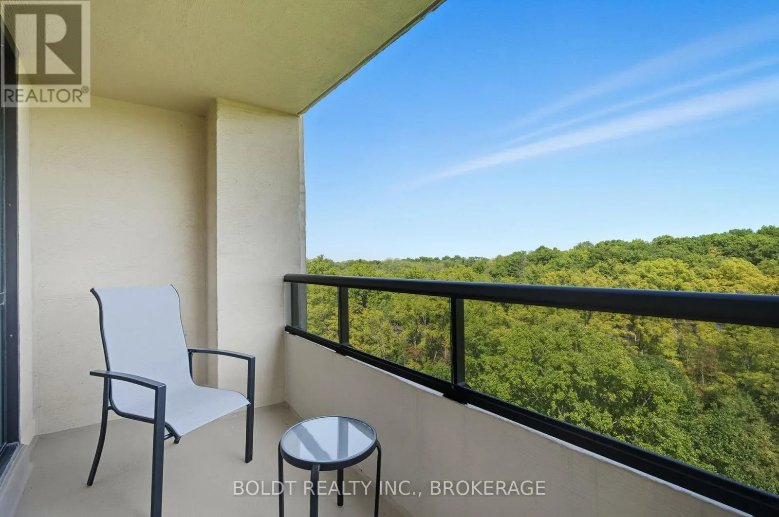 705 - 3 TOWERING HEIGHTS BOULEVARD, #705