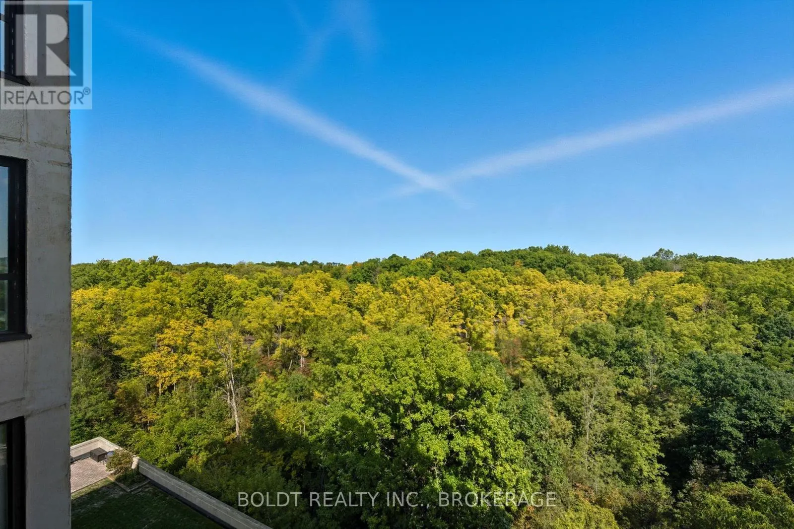 705 - 3 TOWERING HEIGHTS BOULEVARD, #705