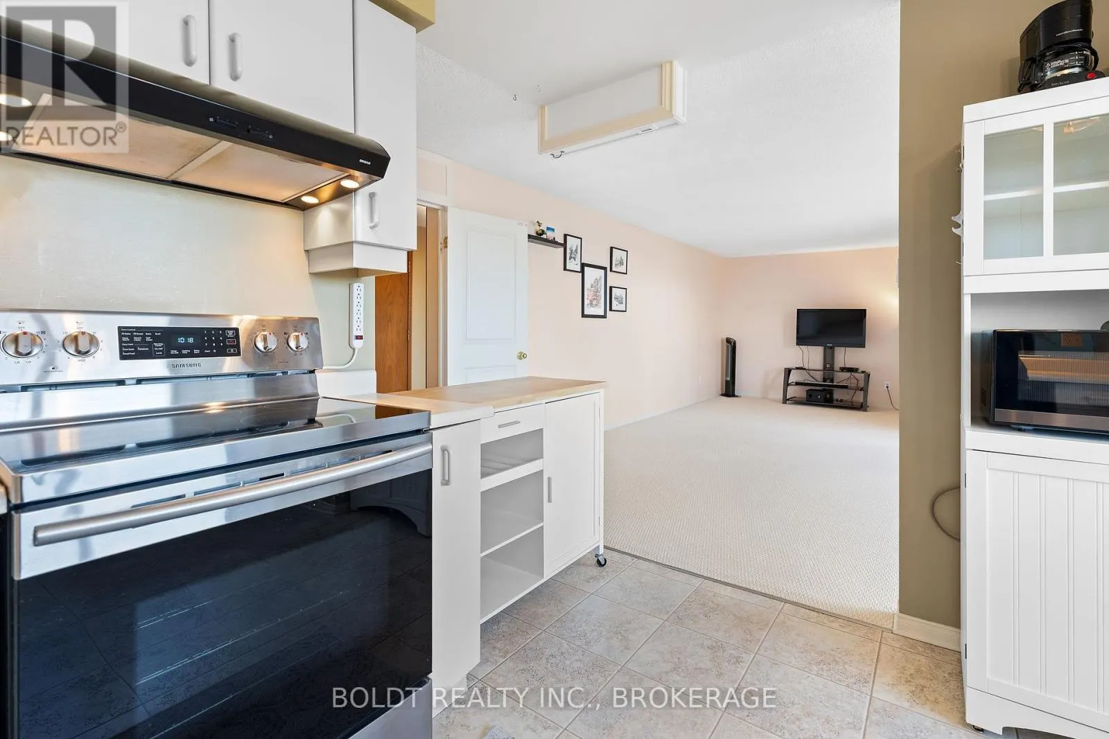 501 - 3 TOWERING HEIGHTS BOULEVARD, #501