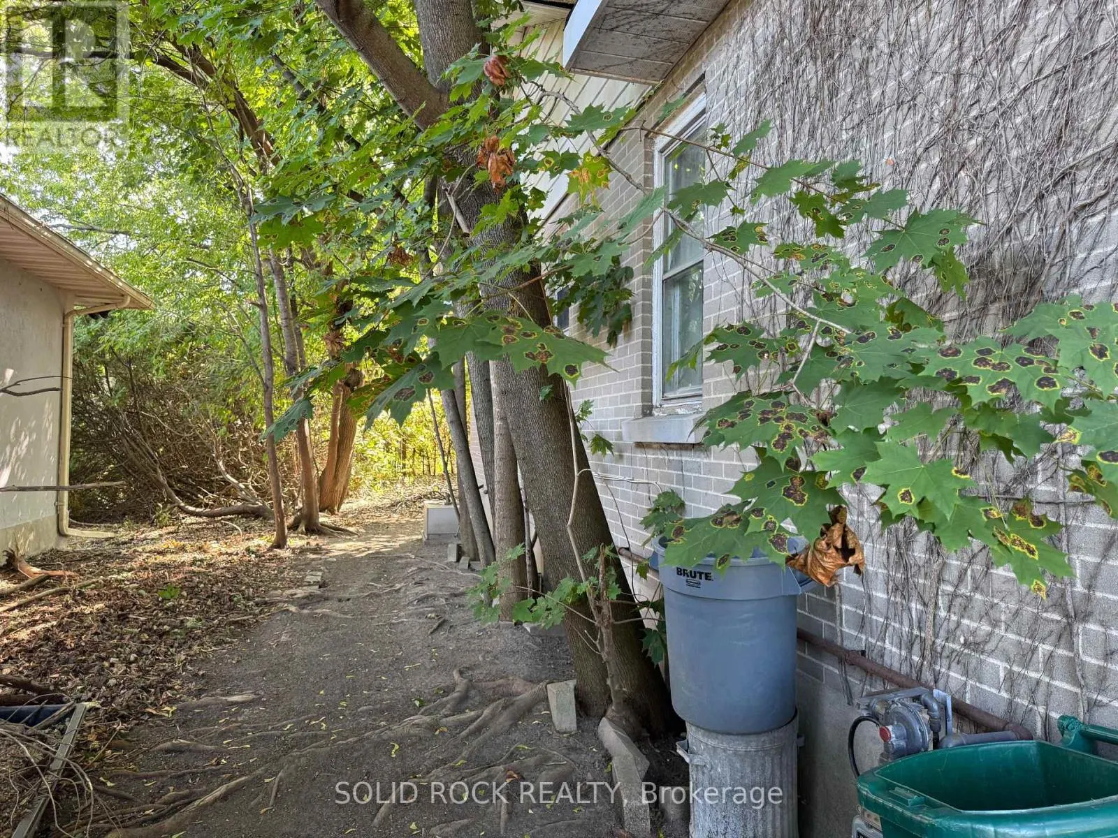 244 SMYTH ROAD