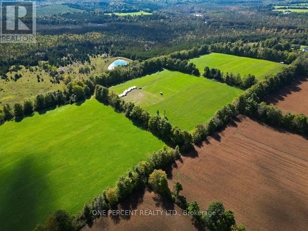 251 MILL ROAD