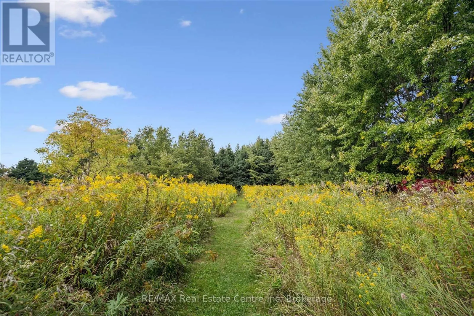 7728 21 SIDE ROAD