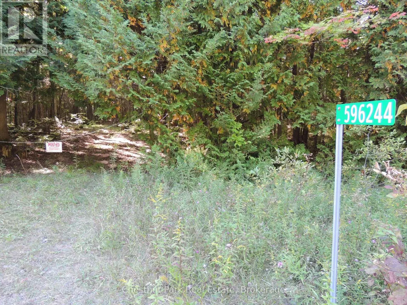 596244 CONCESSION 10
