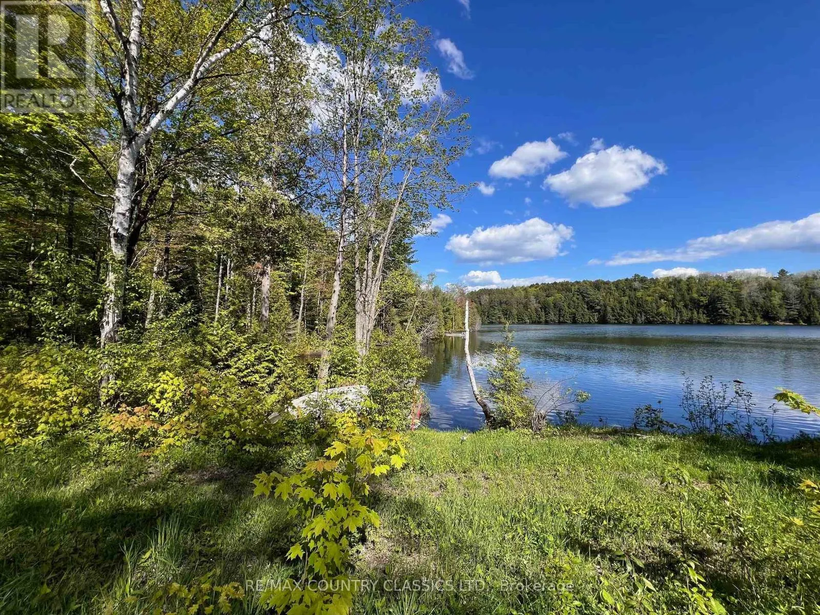 164 TROUT LAKE ROAD