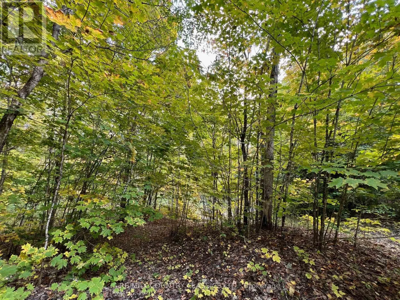 0 FOREST VIEW ROAD