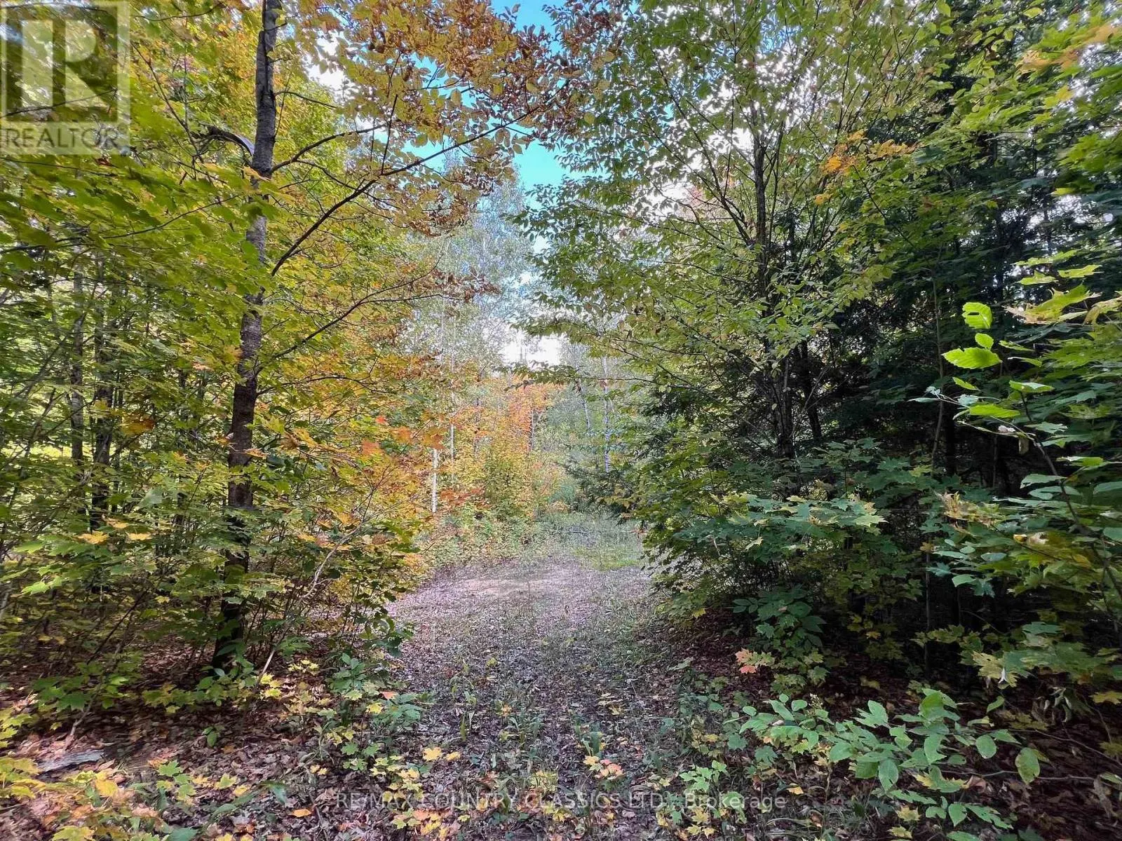 0 FOREST VIEW ROAD