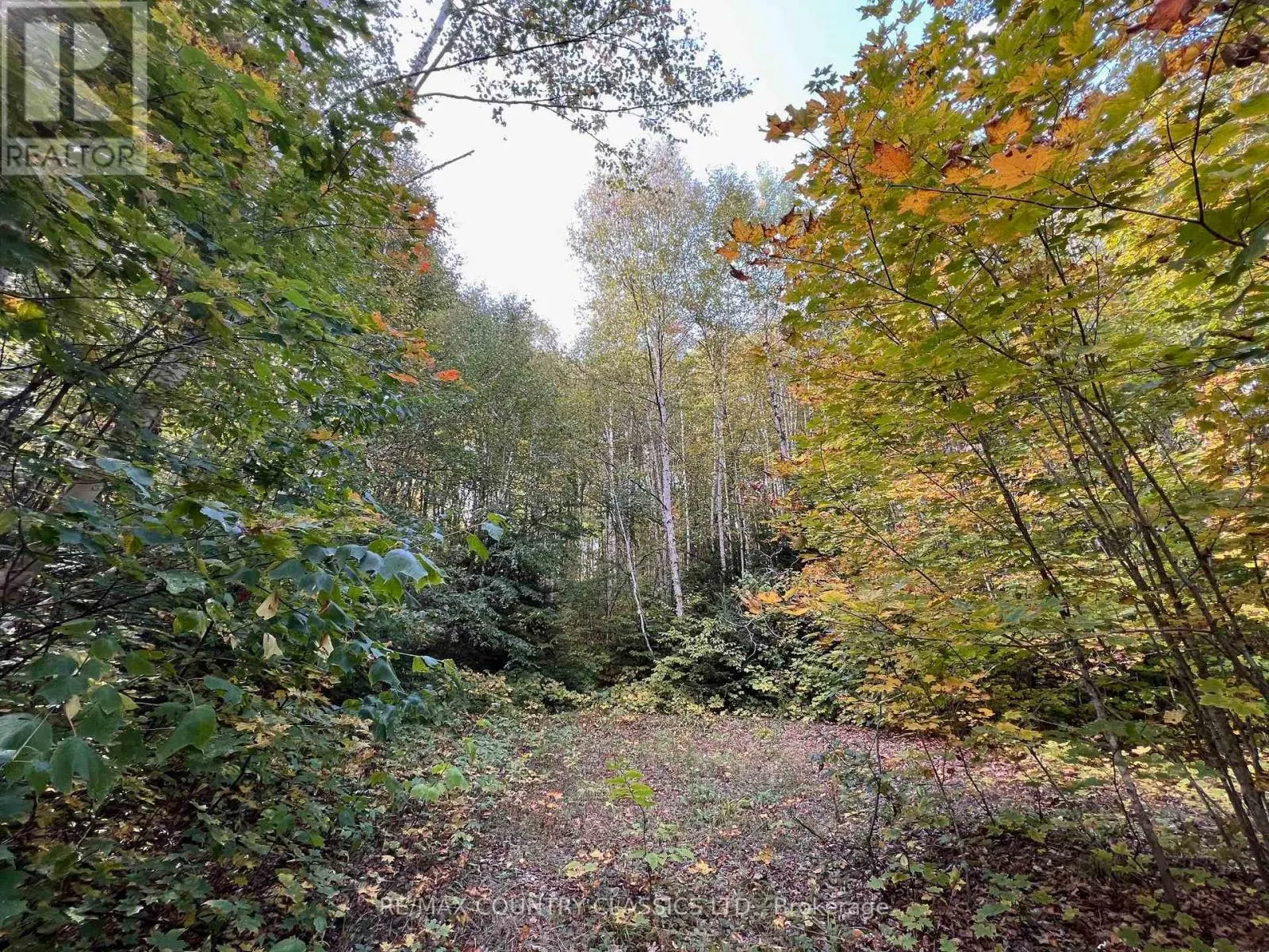0 FOREST VIEW ROAD