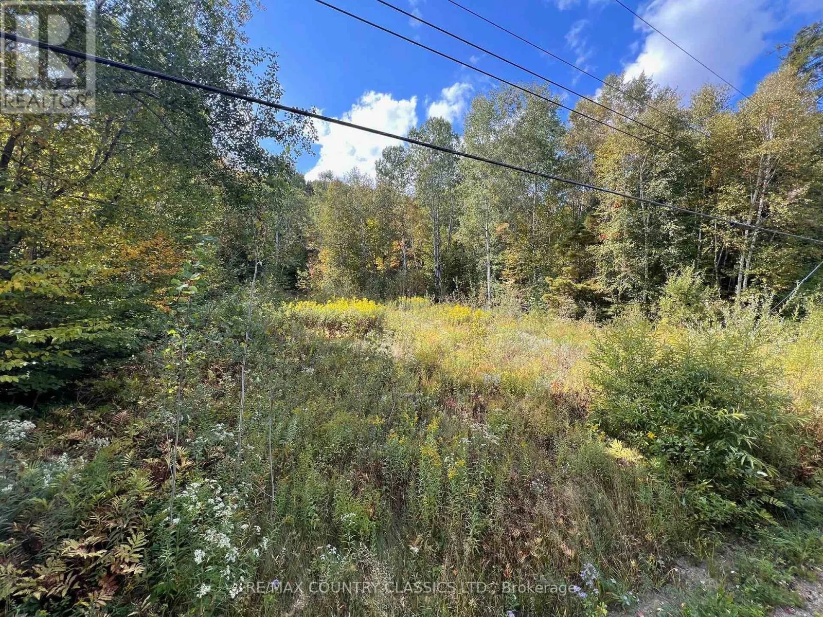 0 FOREST VIEW ROAD