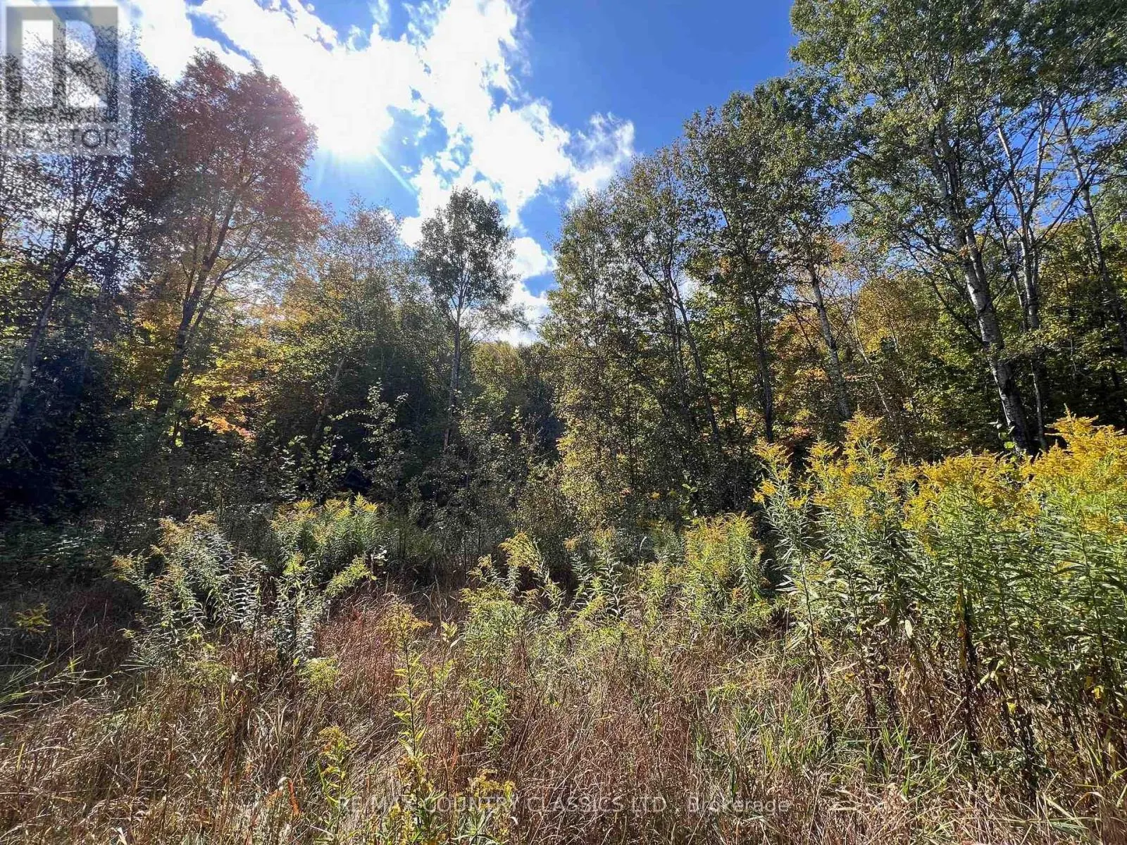 0 FOREST VIEW ROAD