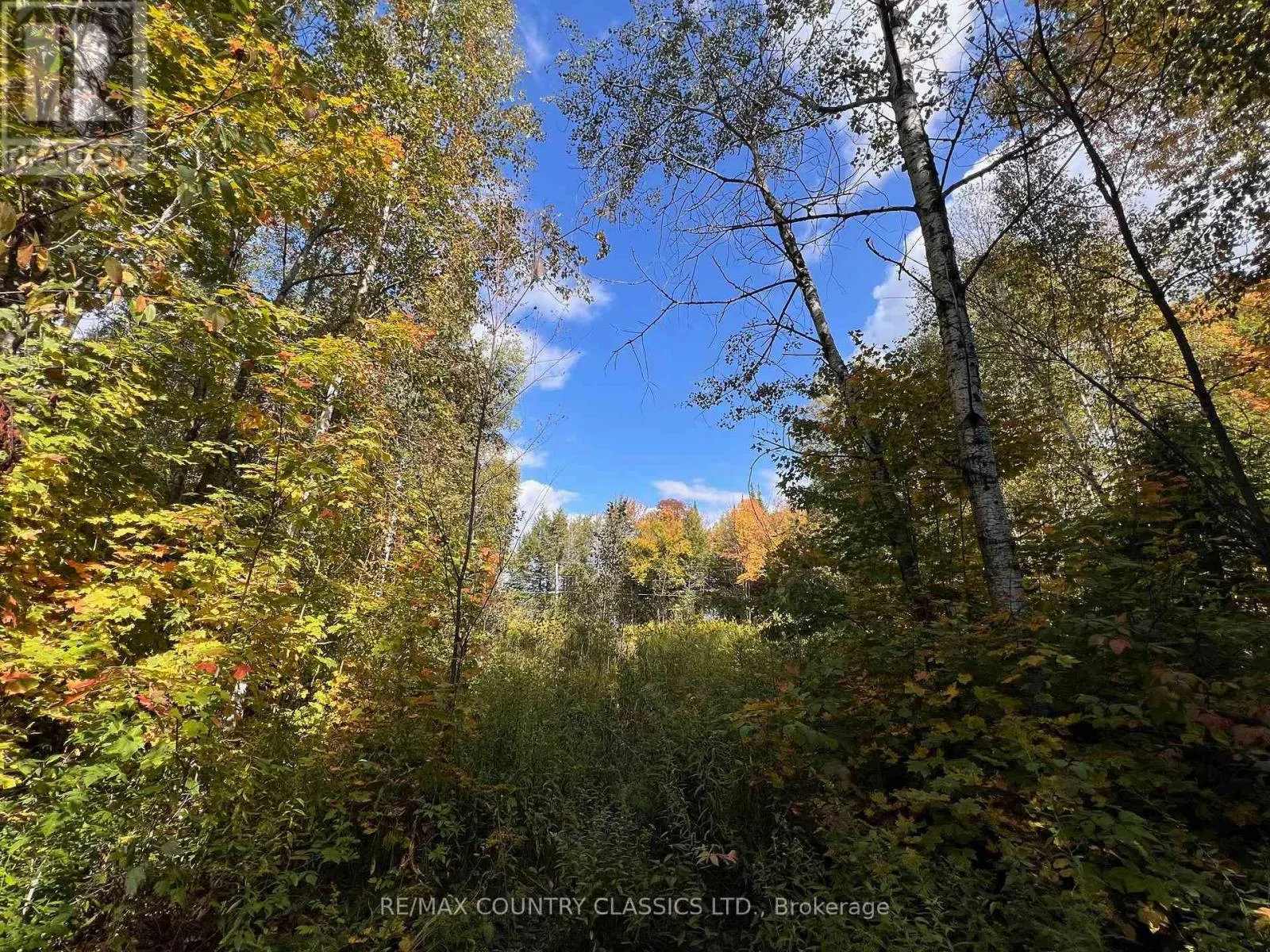 0 FOREST VIEW ROAD
