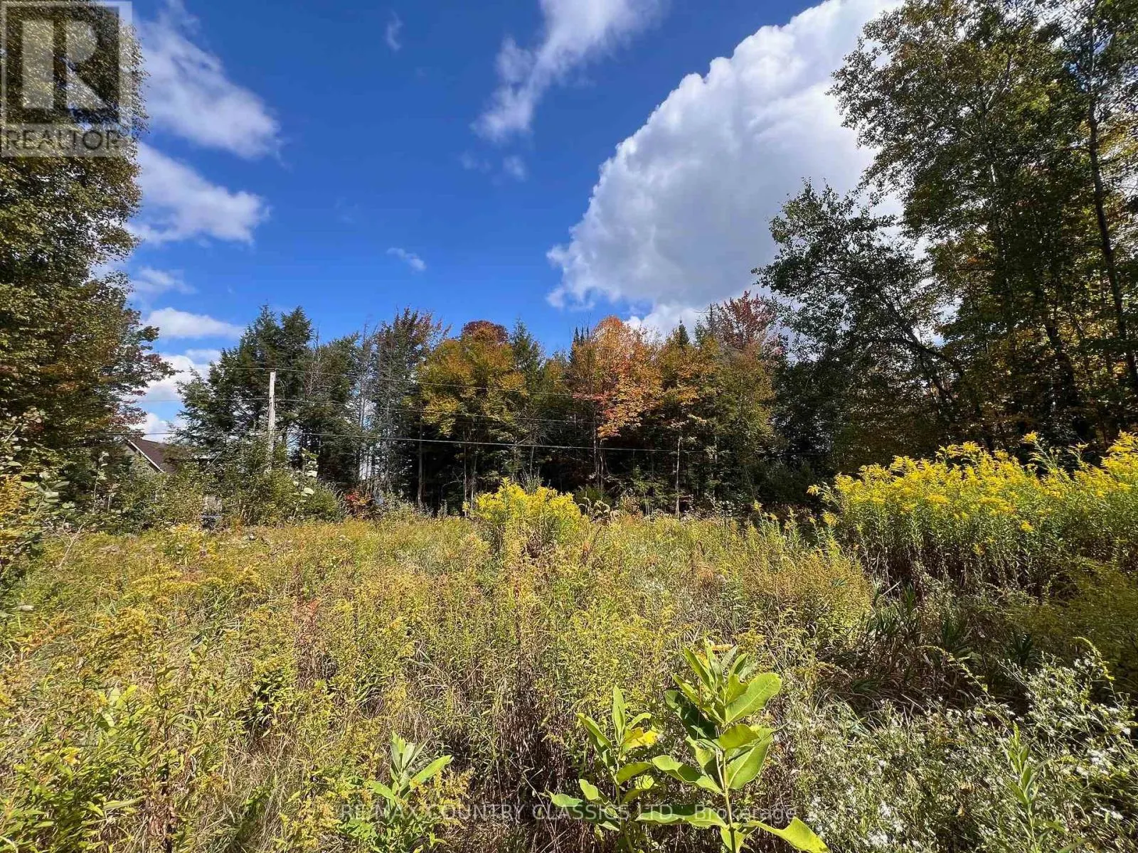 0 FOREST VIEW ROAD