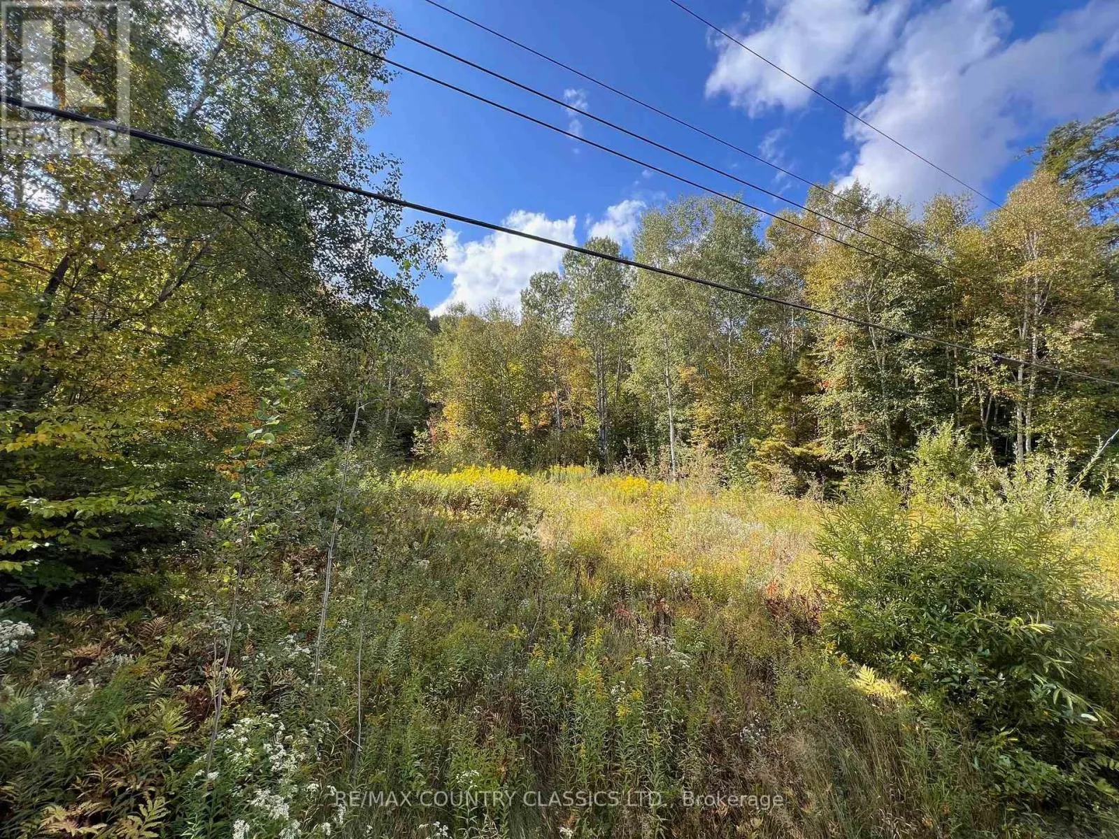 0 FOREST VIEW ROAD