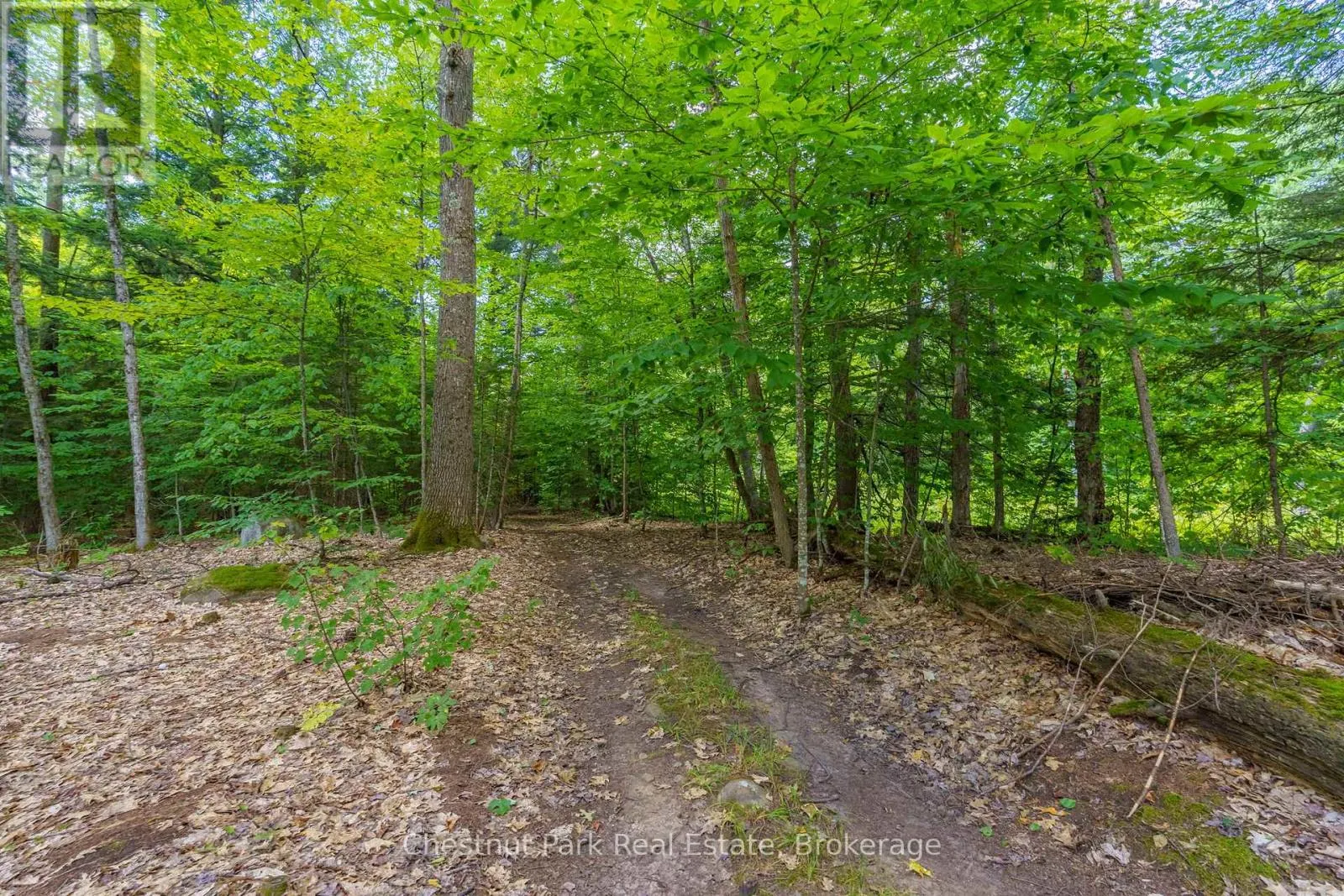 2698 OLD MUSKOKA ROAD