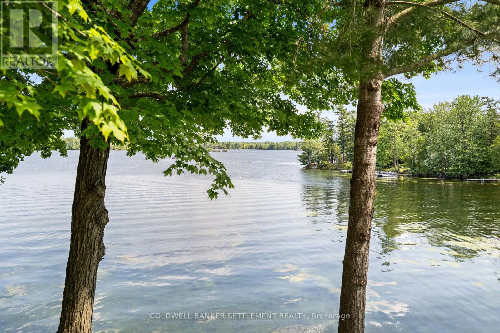 111 LOON DRIVE