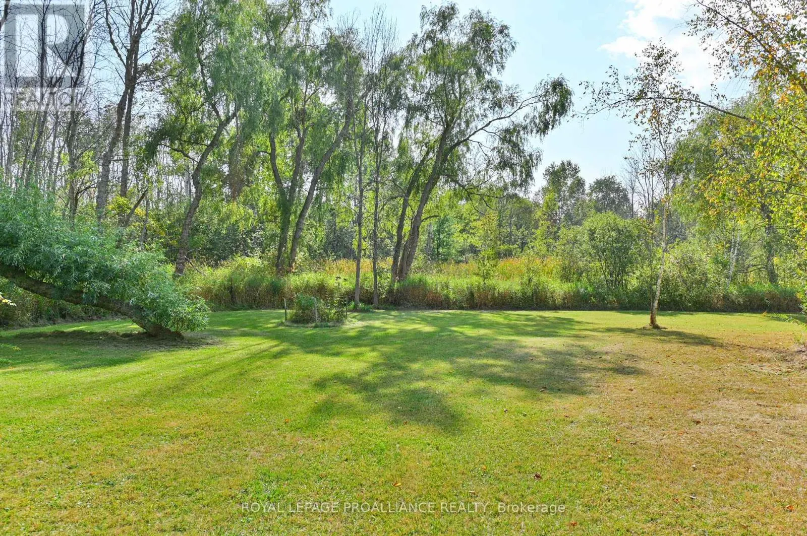 21289 LOYALIST PARKWAY