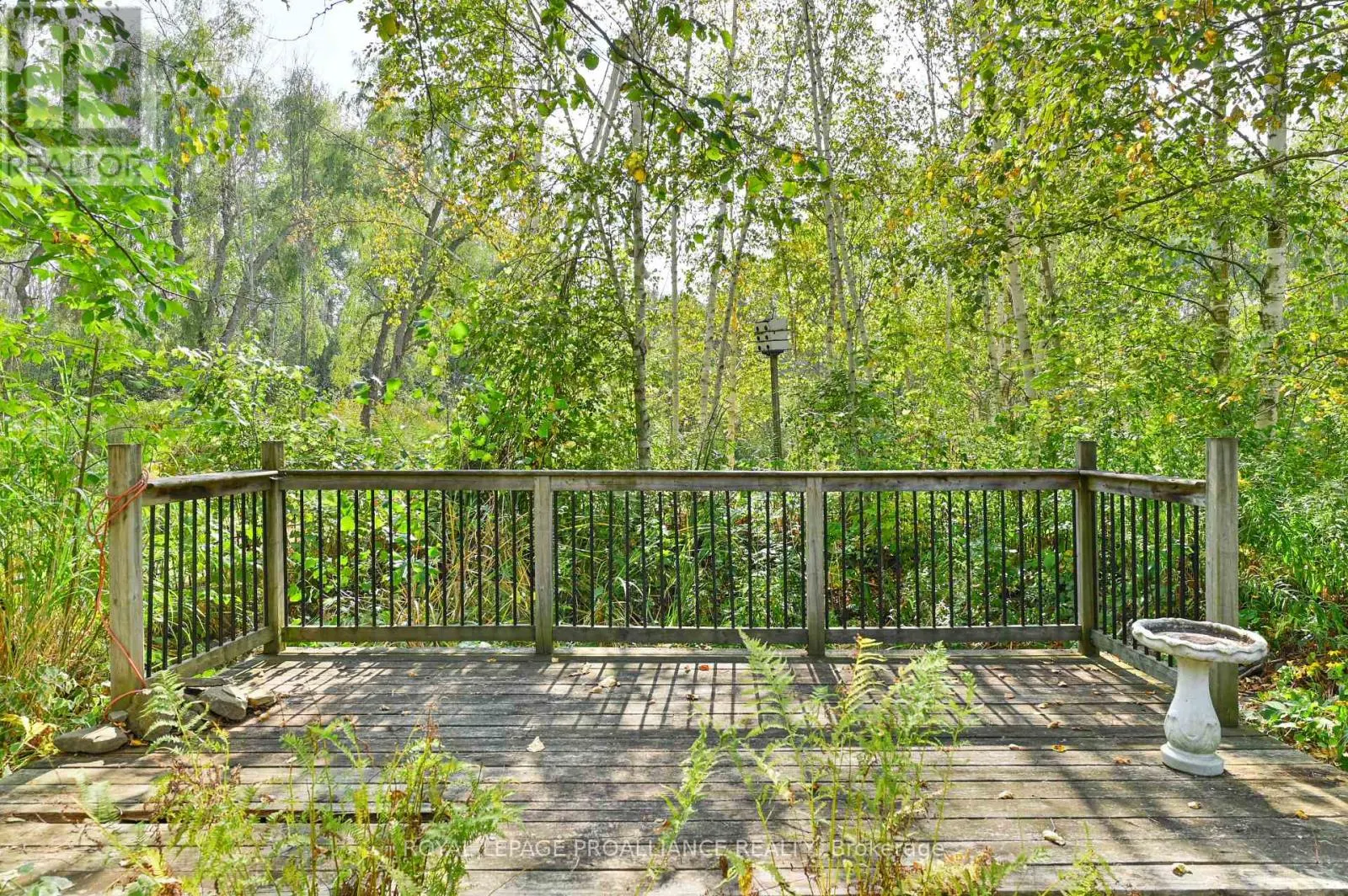 21289 LOYALIST PARKWAY
