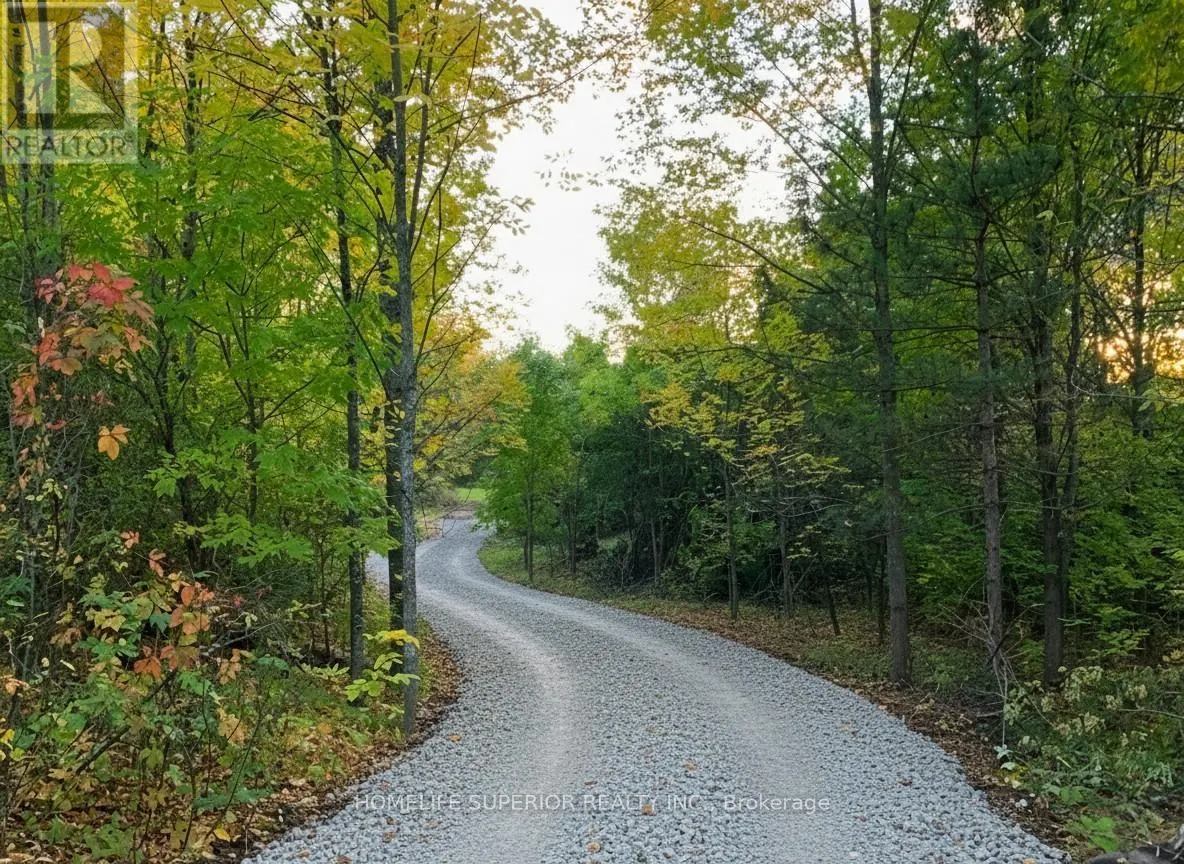 16213 HIGHWAY 62