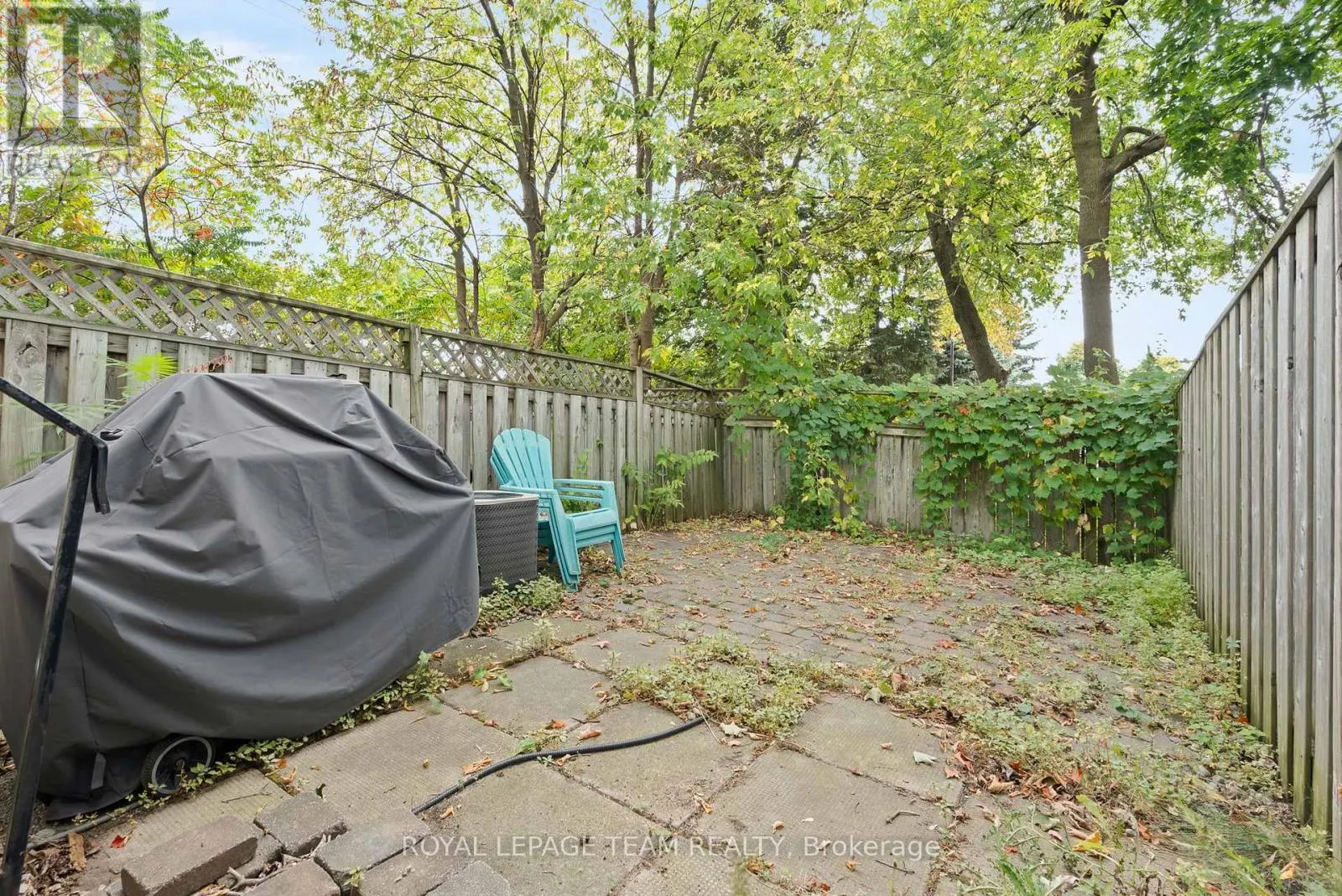 230 CURRELL AVENUE