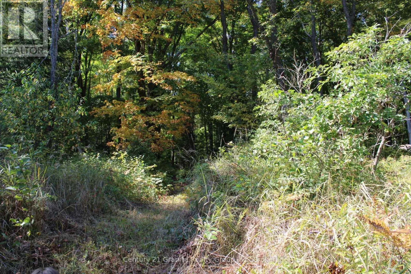 1295 BINSCARTH TRAIL