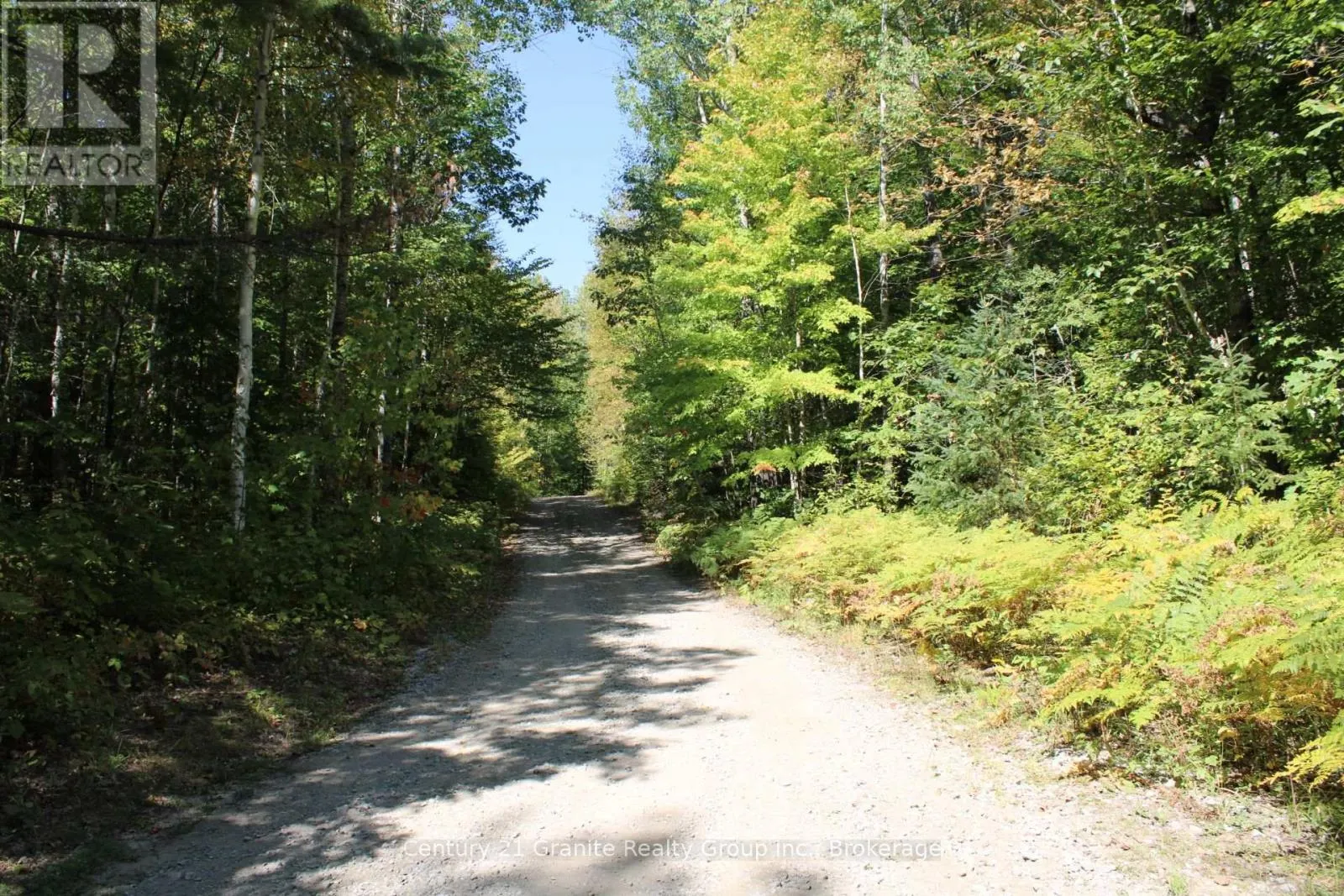 1295 BINSCARTH TRAIL