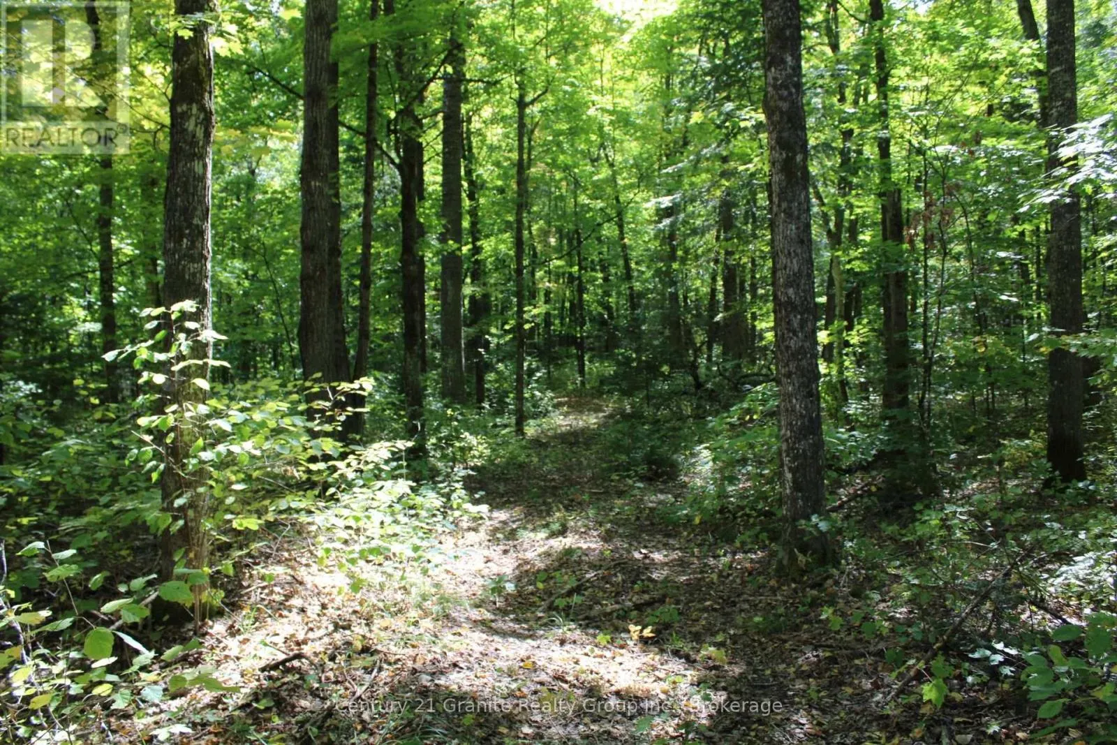 1295 BINSCARTH TRAIL