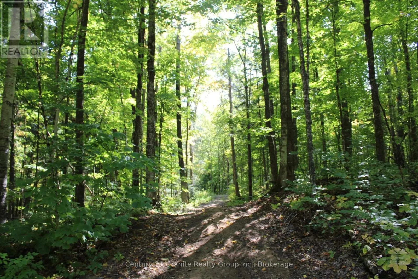 1295 BINSCARTH TRAIL