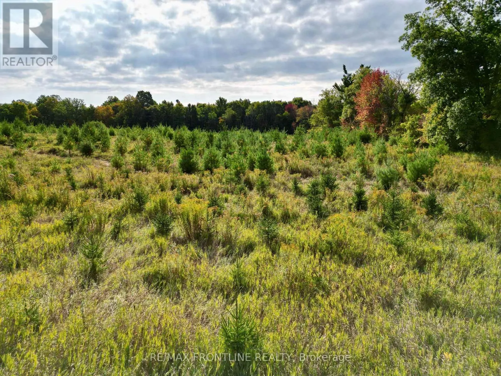 0 BENNETT LAKE ROAD