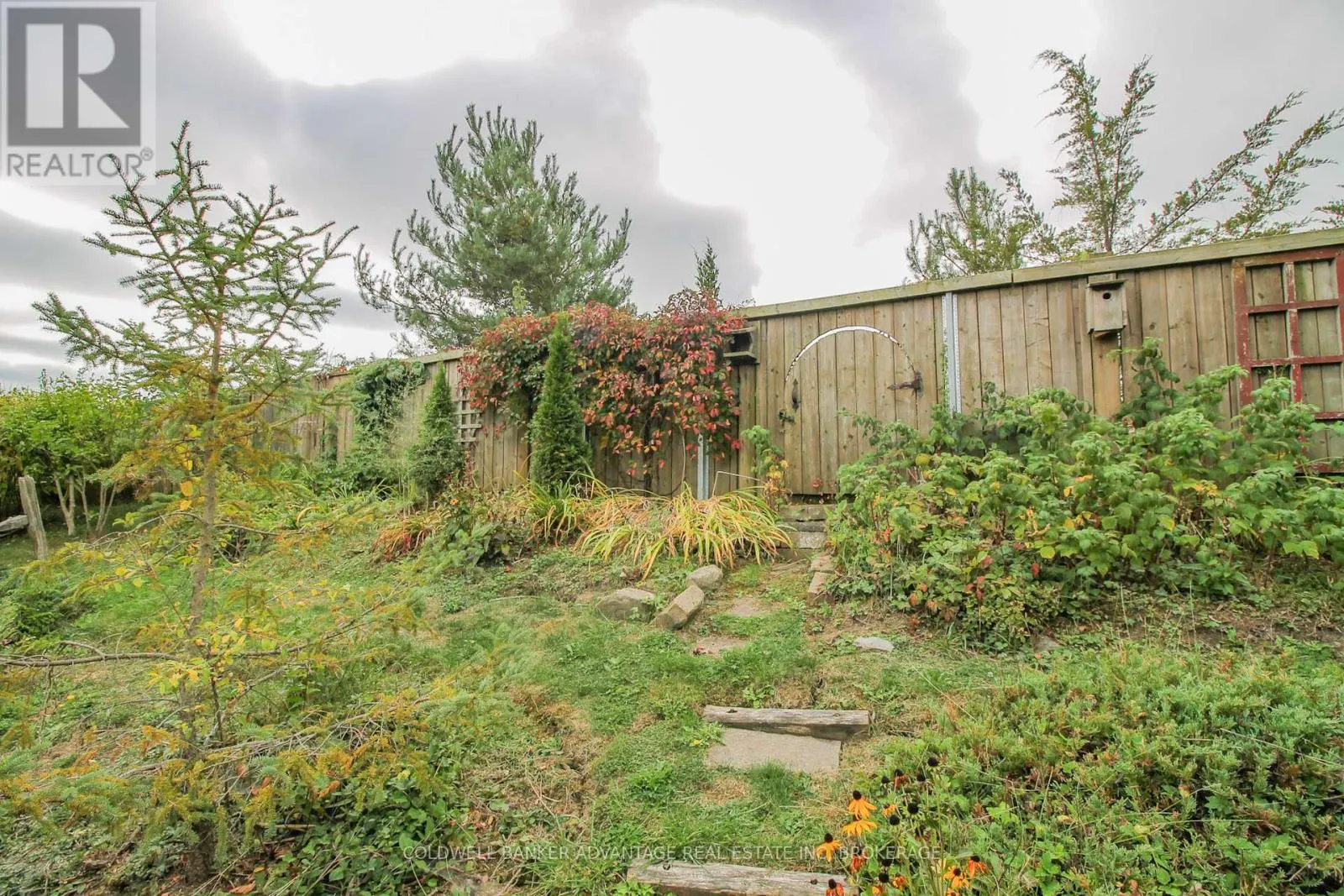3935 LOWER COACH ROAD